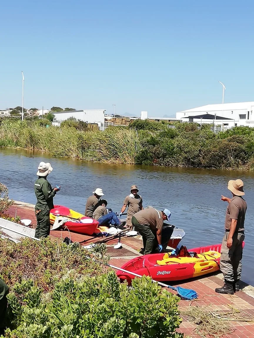 Algal bloom results in new species find