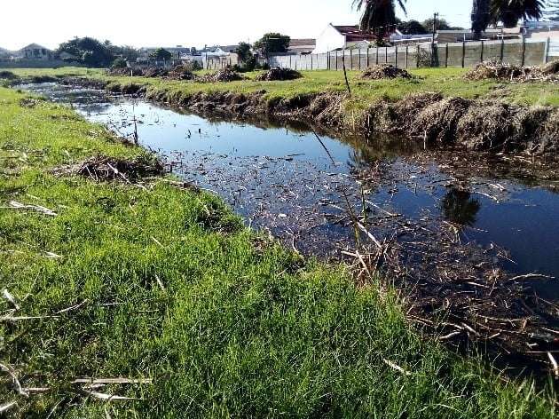 Update on our River Ambassadors
