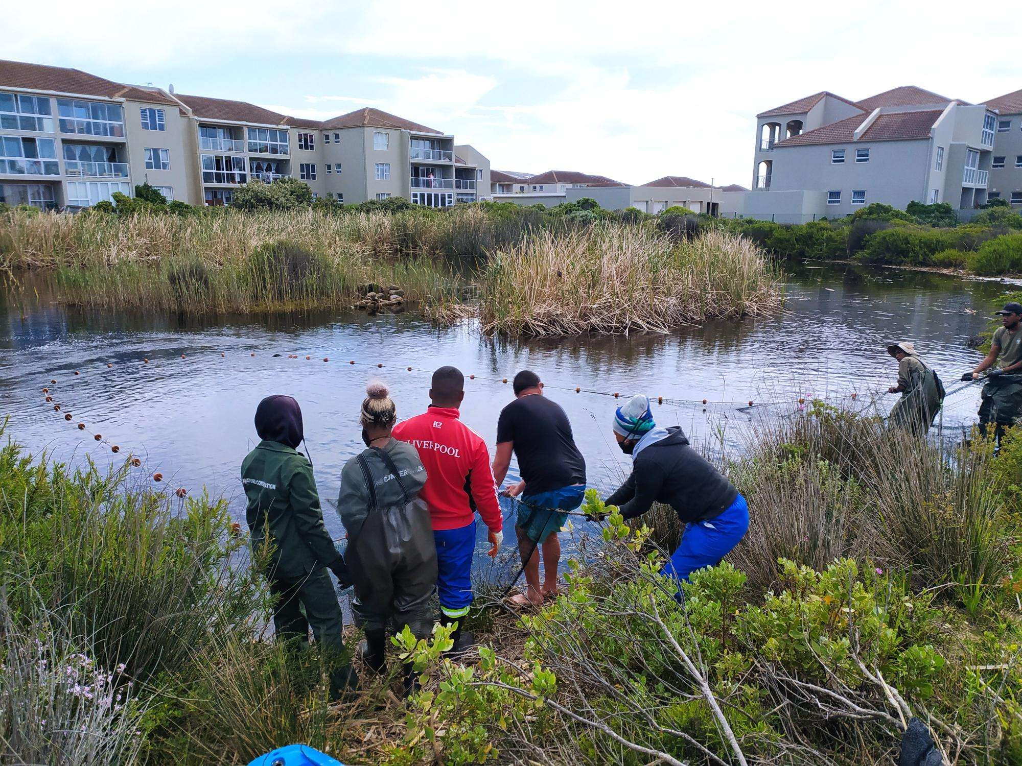 Catching up with Muizenberg East Biodiversity Cluster, photo 11