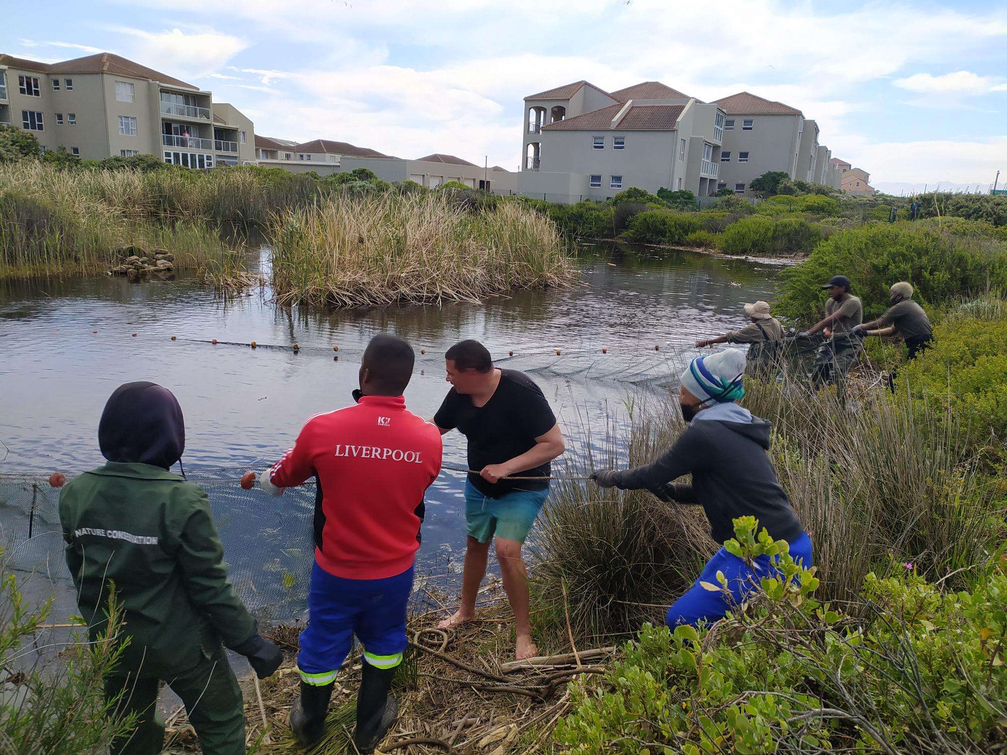 Catching up with Muizenberg East Biodiversity Cluster, photo 13