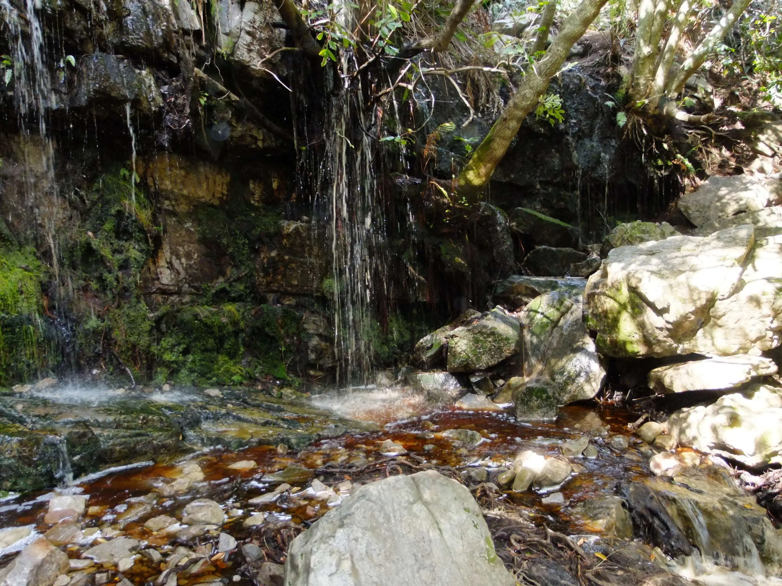 What’s new with the River Ambassadors?, photo 6