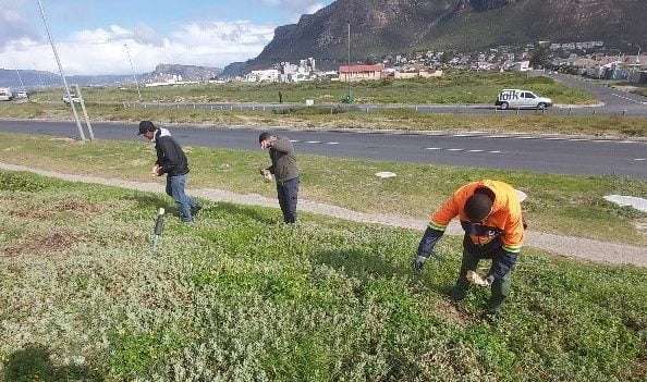 Catching up with Muizenberg East Biodiversity Cluster