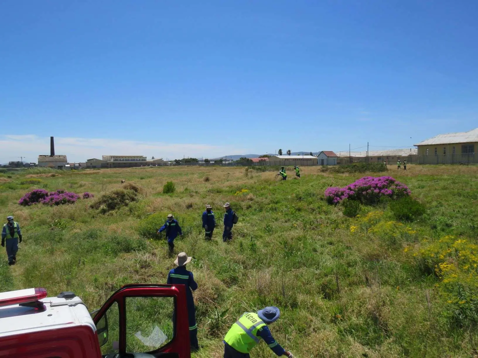 Clearing Emergent Weeds in the Table Bay Nature Reserve, photo 1