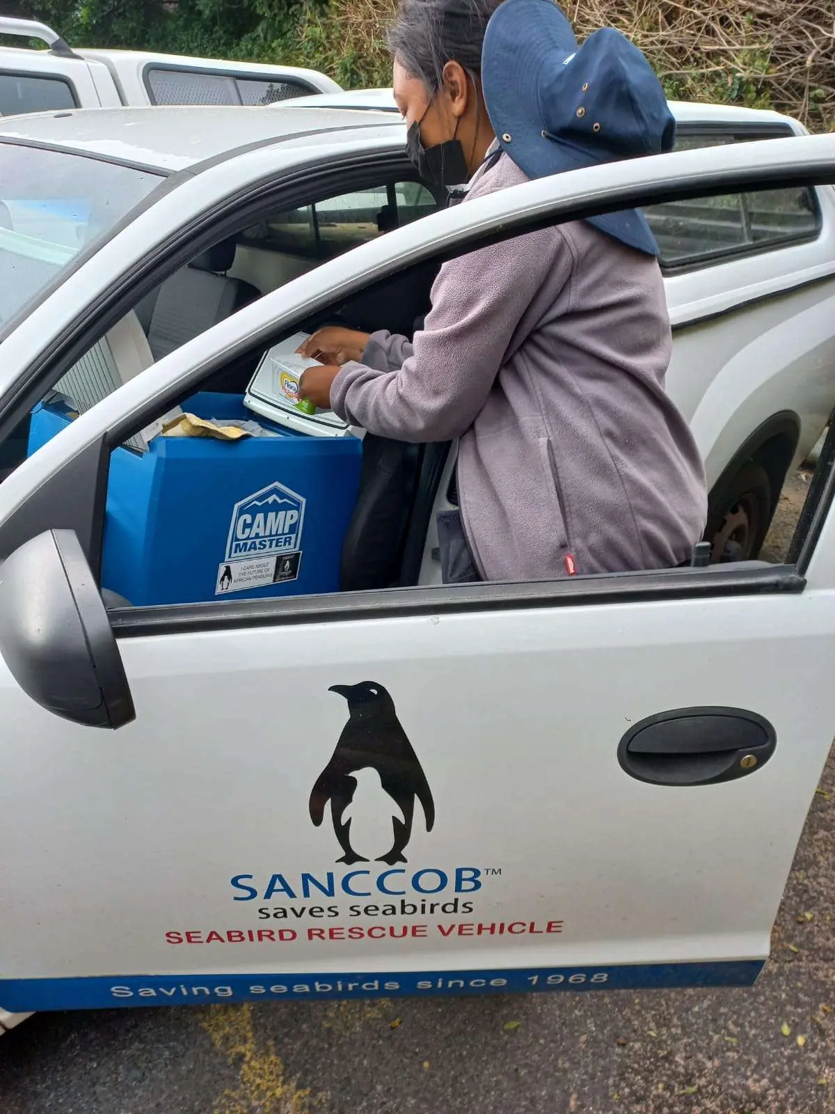 From Volunteer To Full-Time Penguin Ranger, photo 3