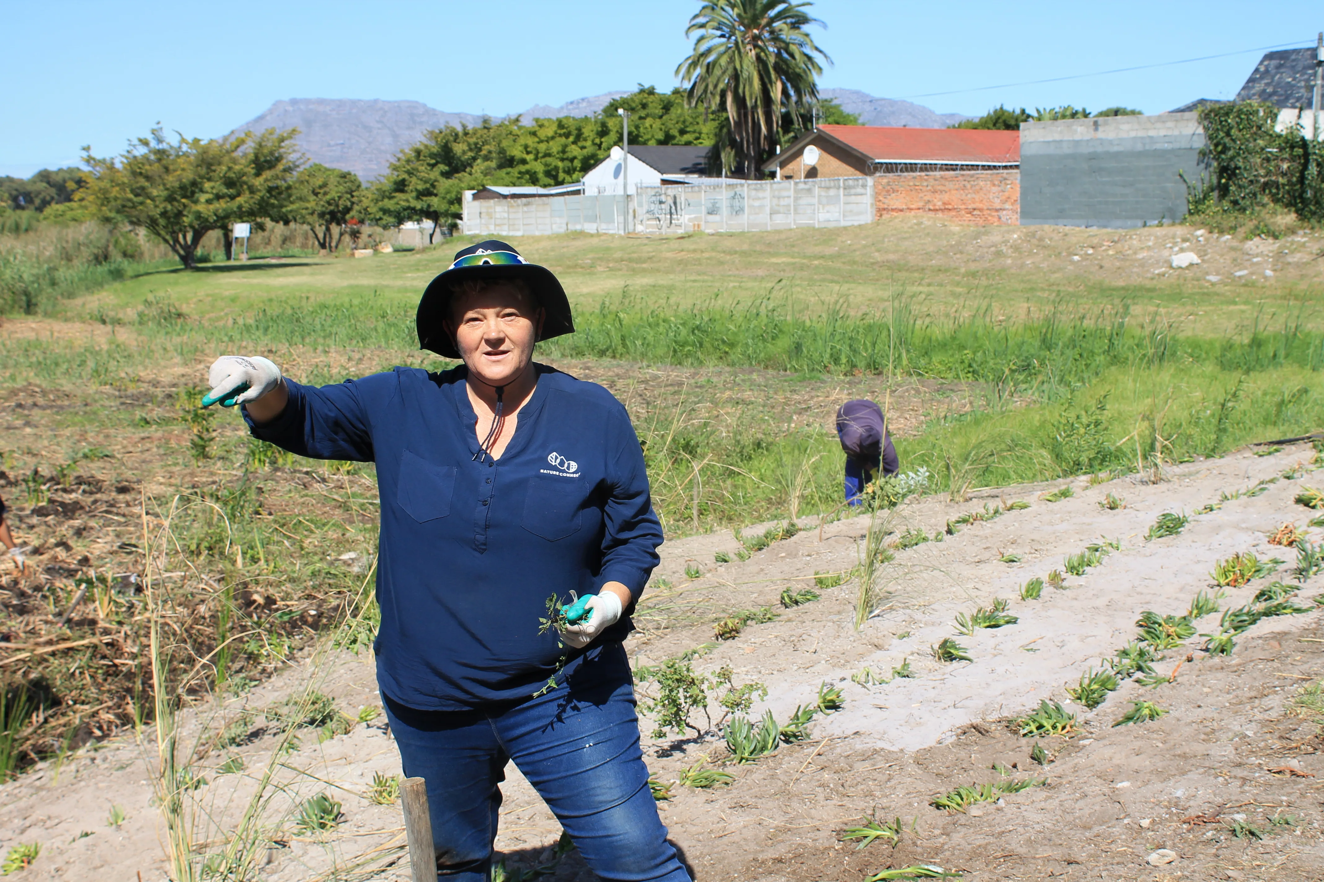 Cleaning up Cape Town one wetland at a time!, photo 1
