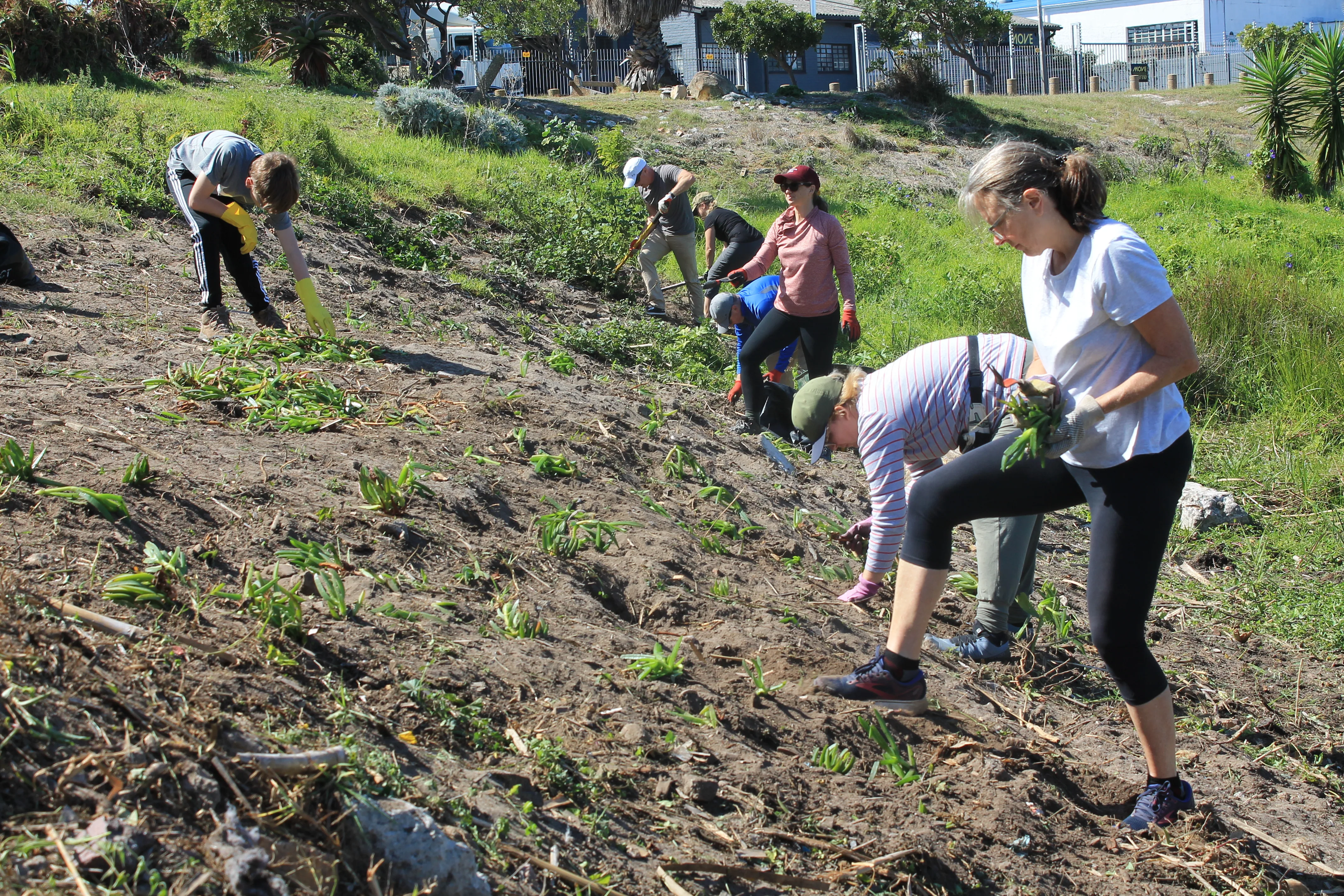 Cleaning up Cape Town one wetland at a time!, photo 2