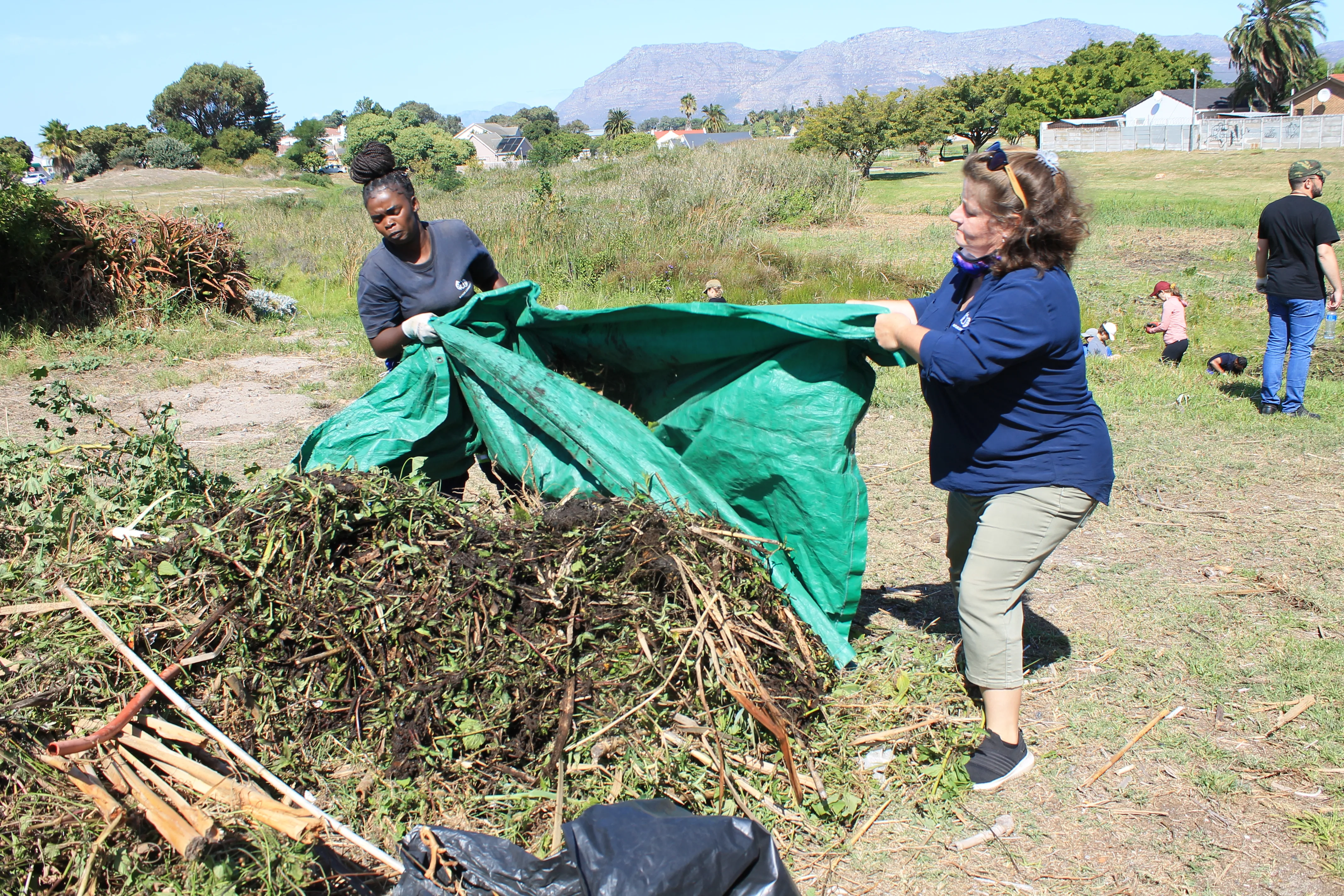 Cleaning up Cape Town one wetland at a time!, photo 3