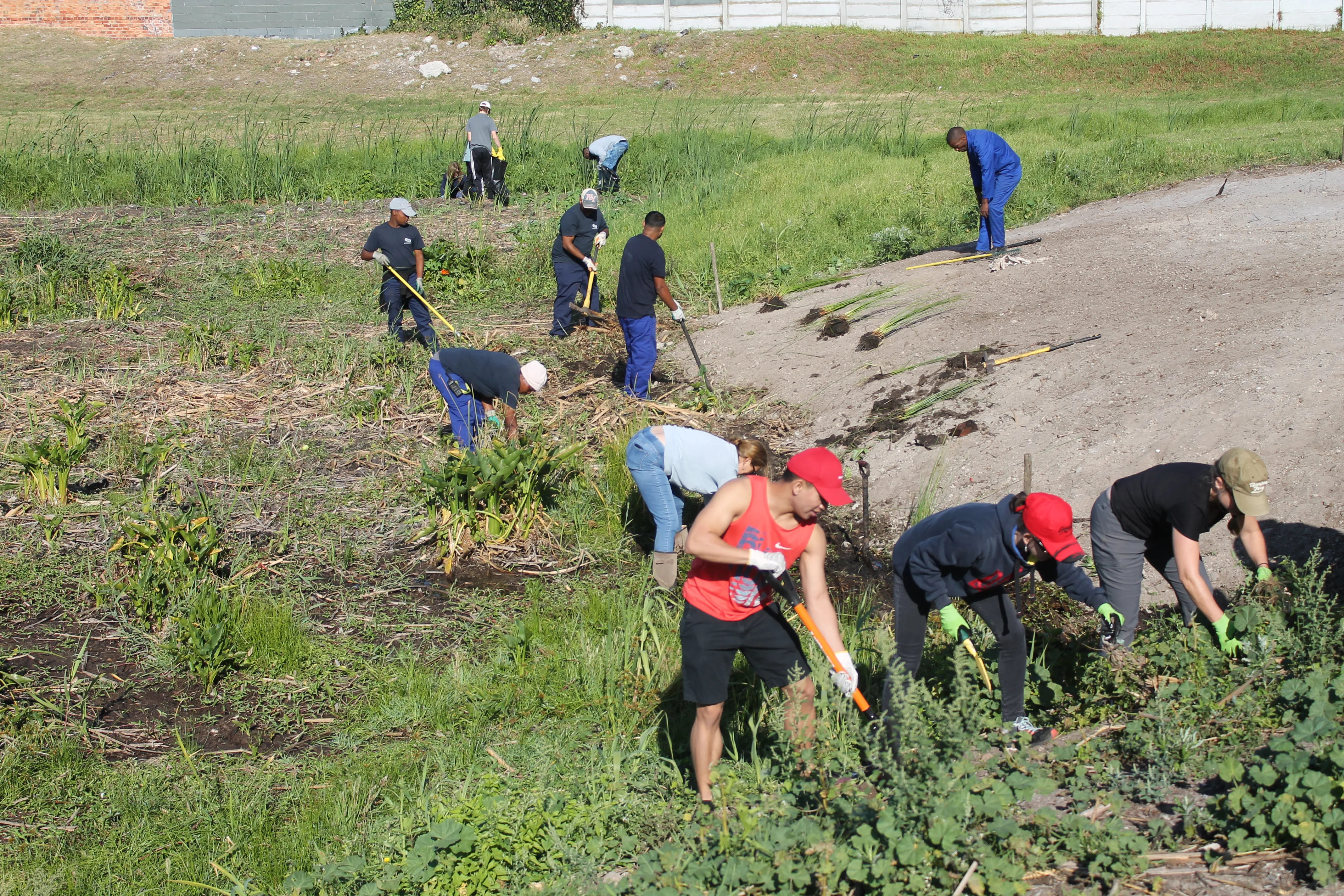 Cleaning up Cape Town one wetland at a time!, photo 6