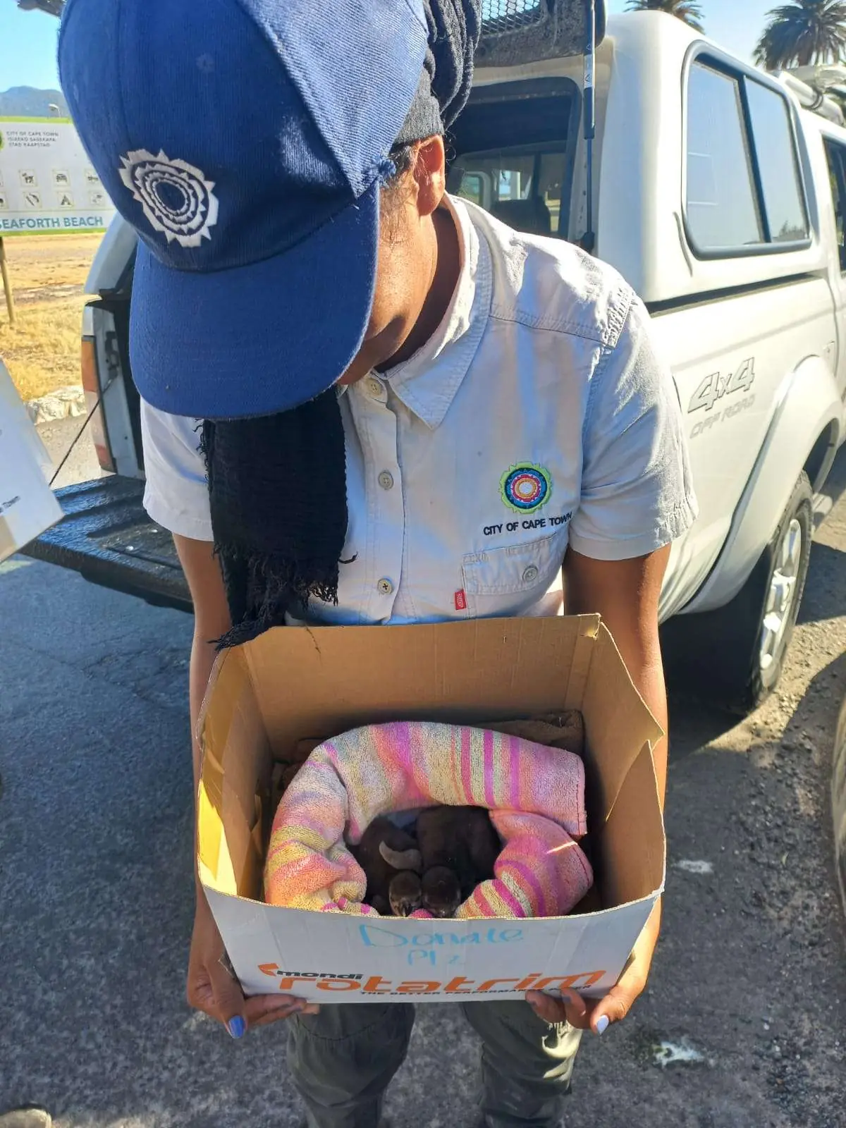 From Volunteer To Full-Time Penguin Ranger, photo 2