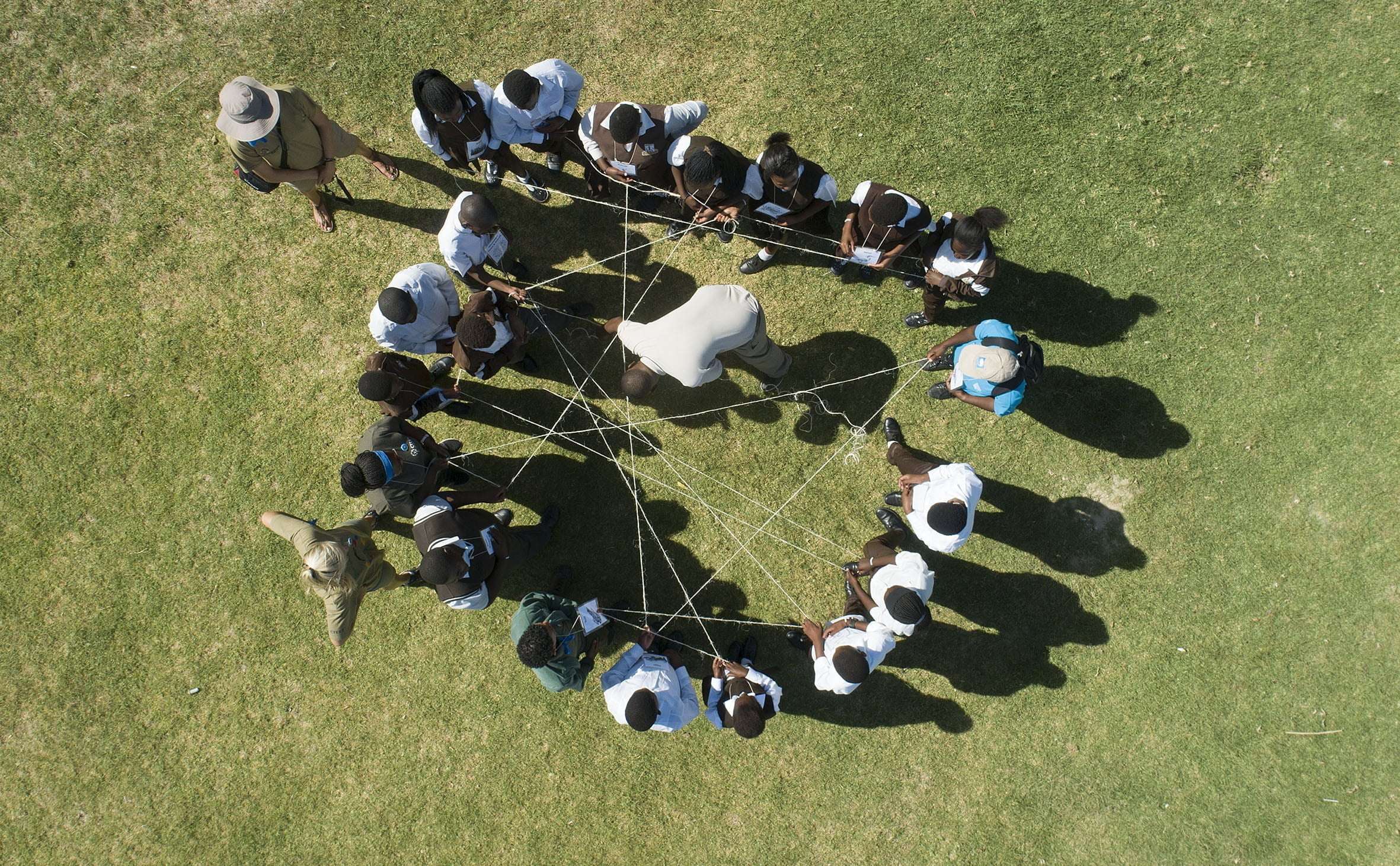 The Sustainable Schools Programme growing in impact…