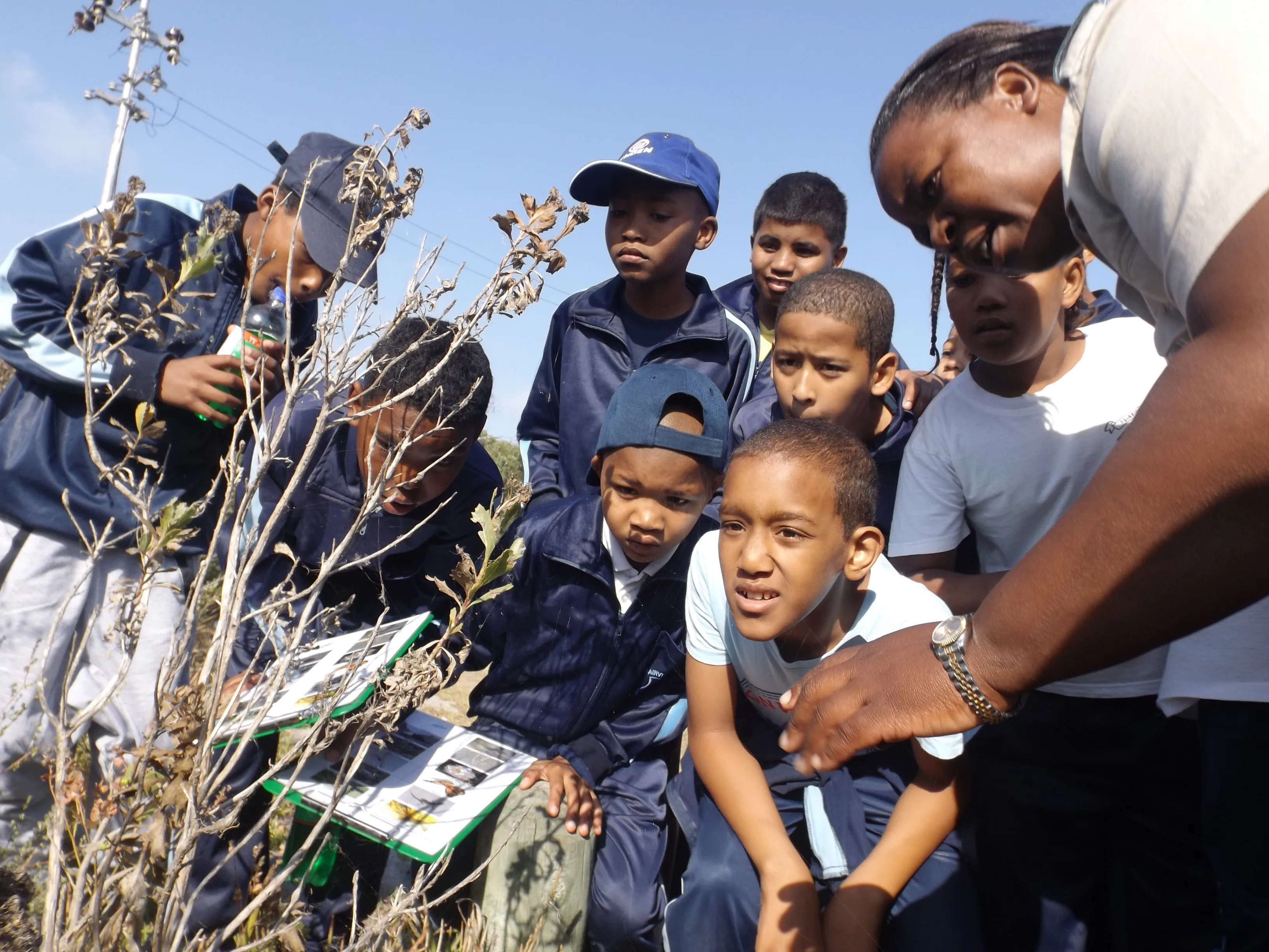The Sustainable Schools Programme growing in impact…, photo 2