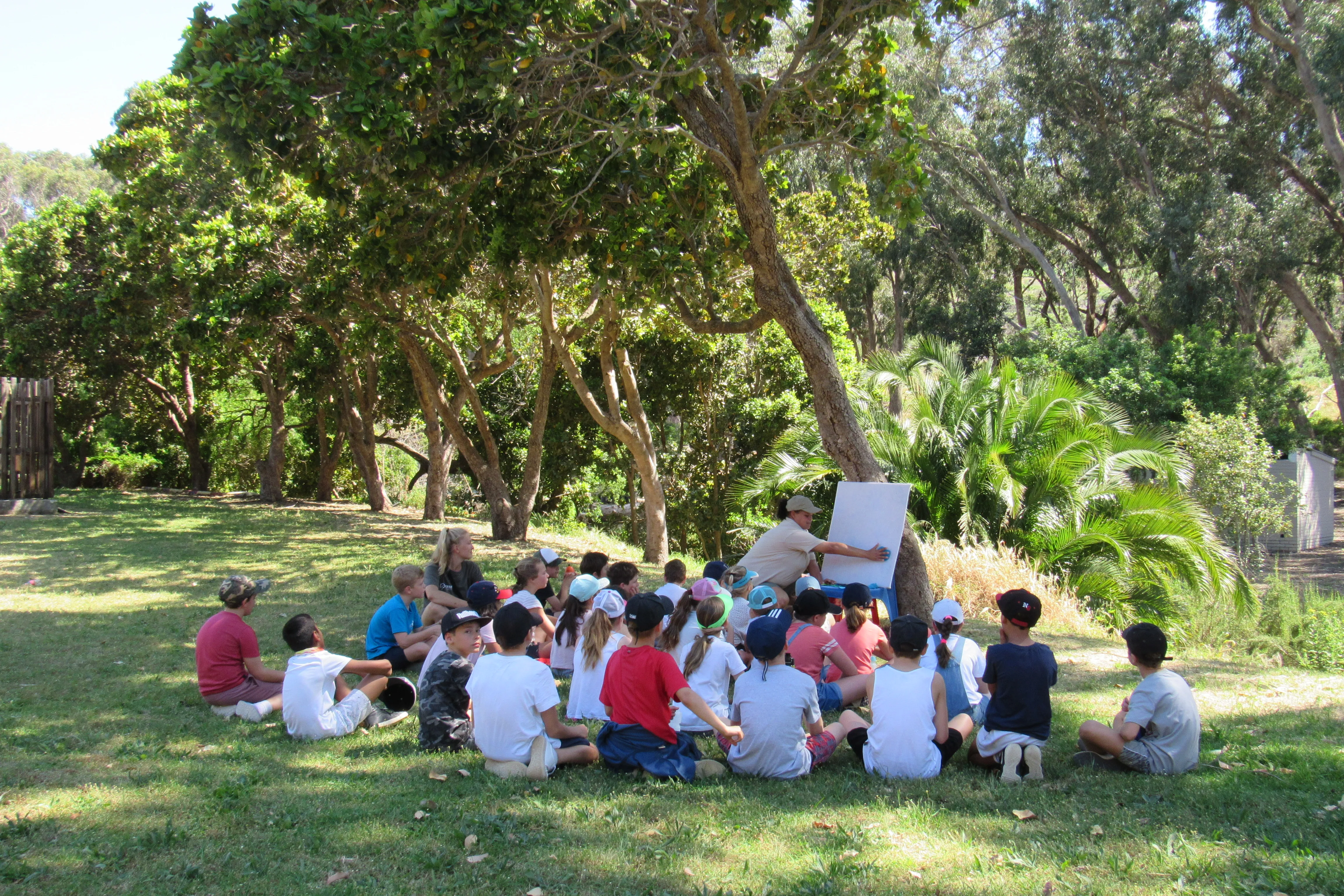 The Sustainable Schools Programme growing in impact…, photo 1