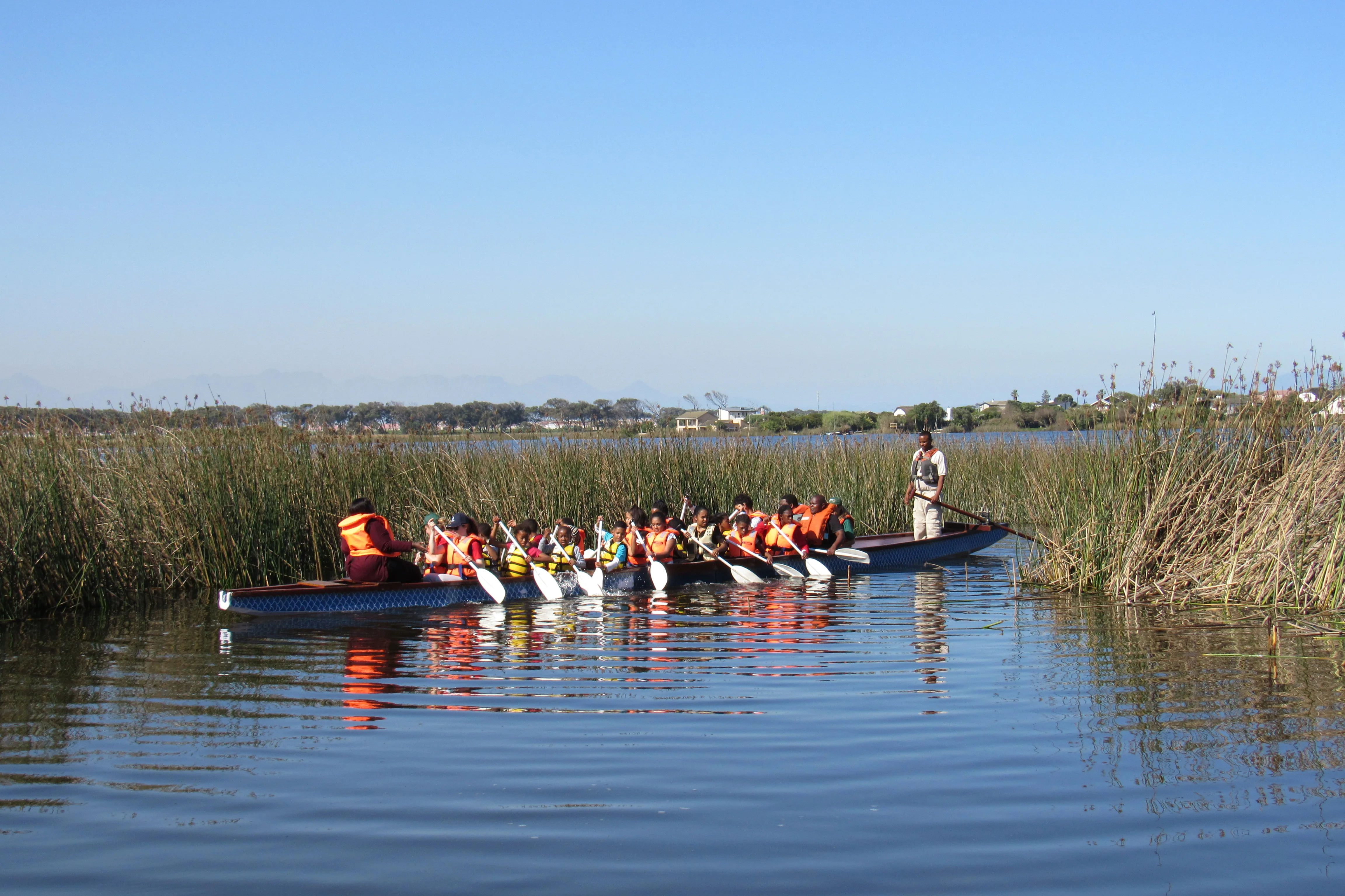 The Sustainable Schools Programme growing in impact…, photo 4