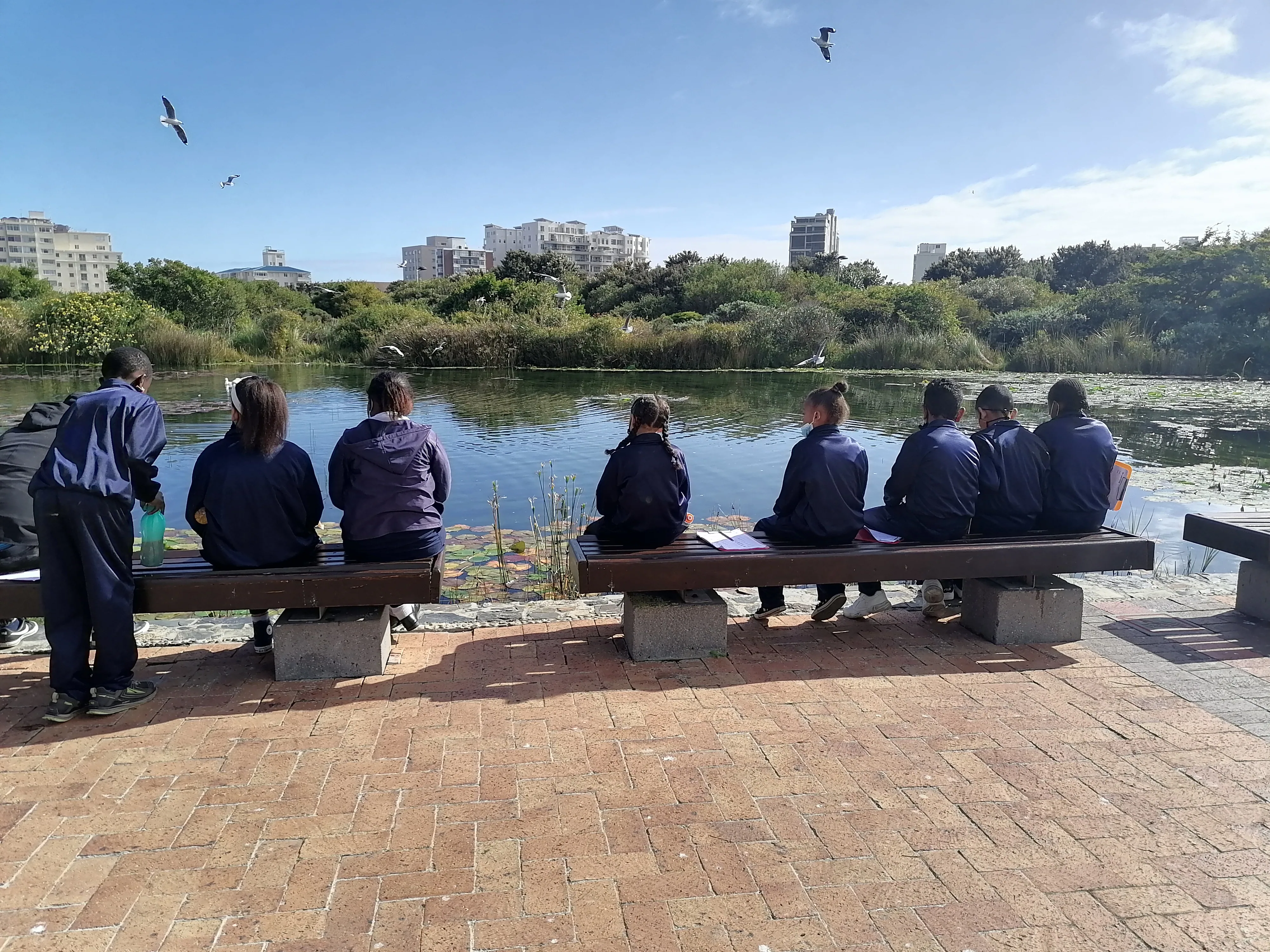 Day Programmes at Green Point Park, photo 3