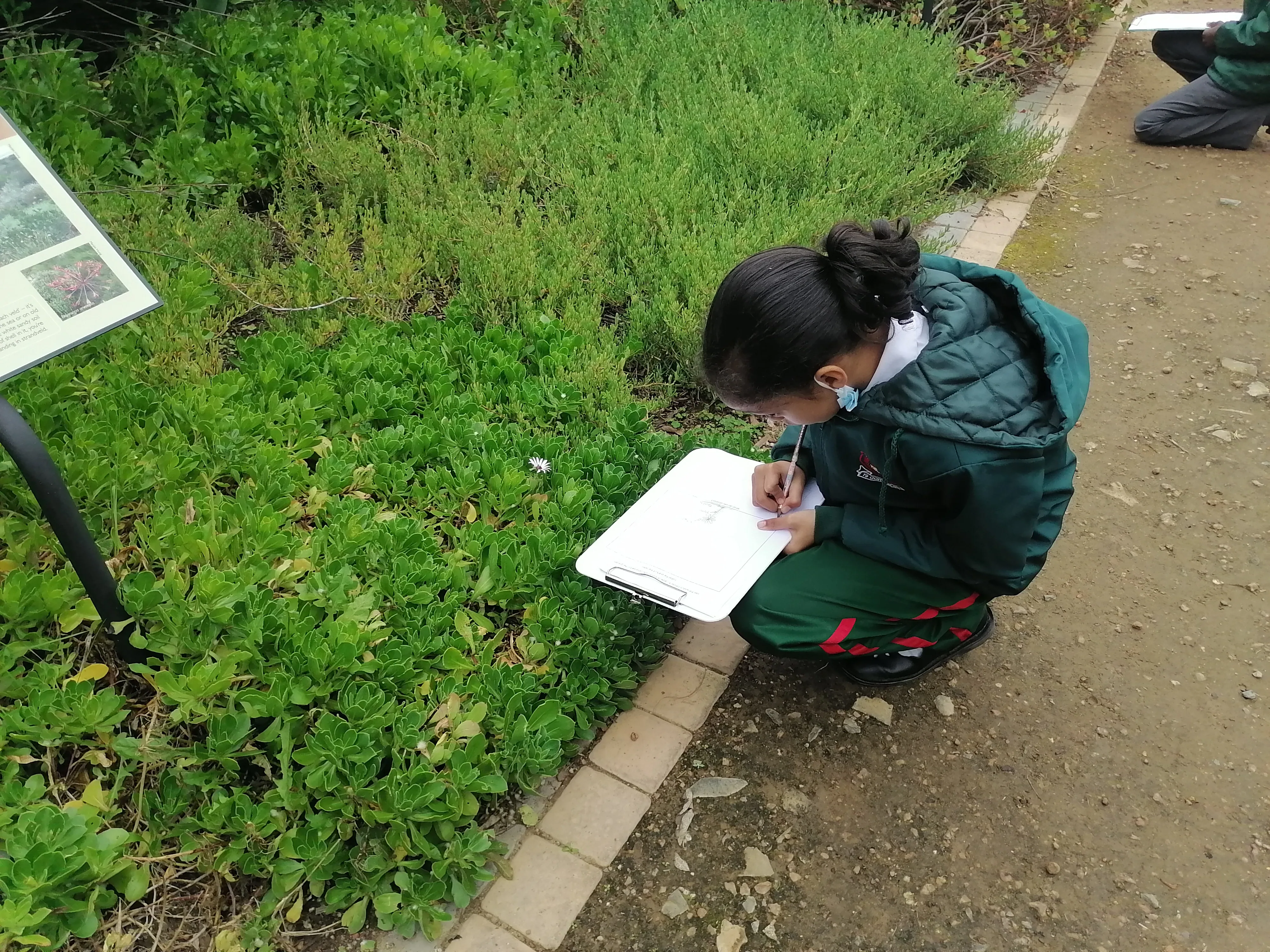 Day Programmes at Green Point Park, photo 5
