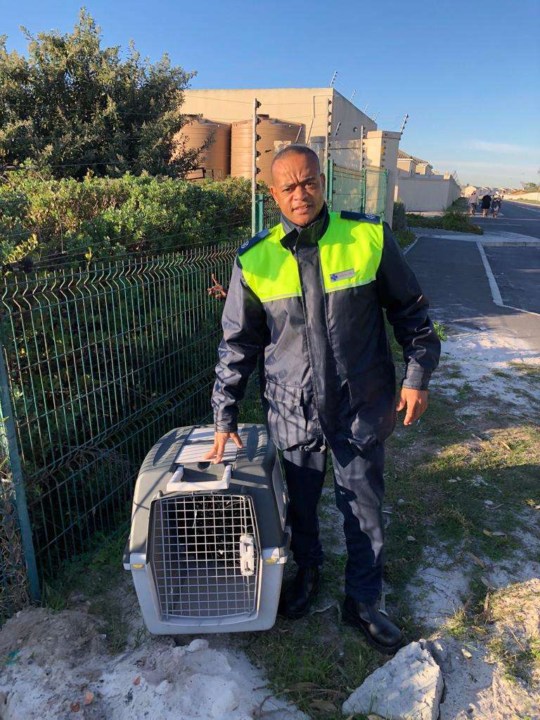Porcupine rescue at Soralia Village