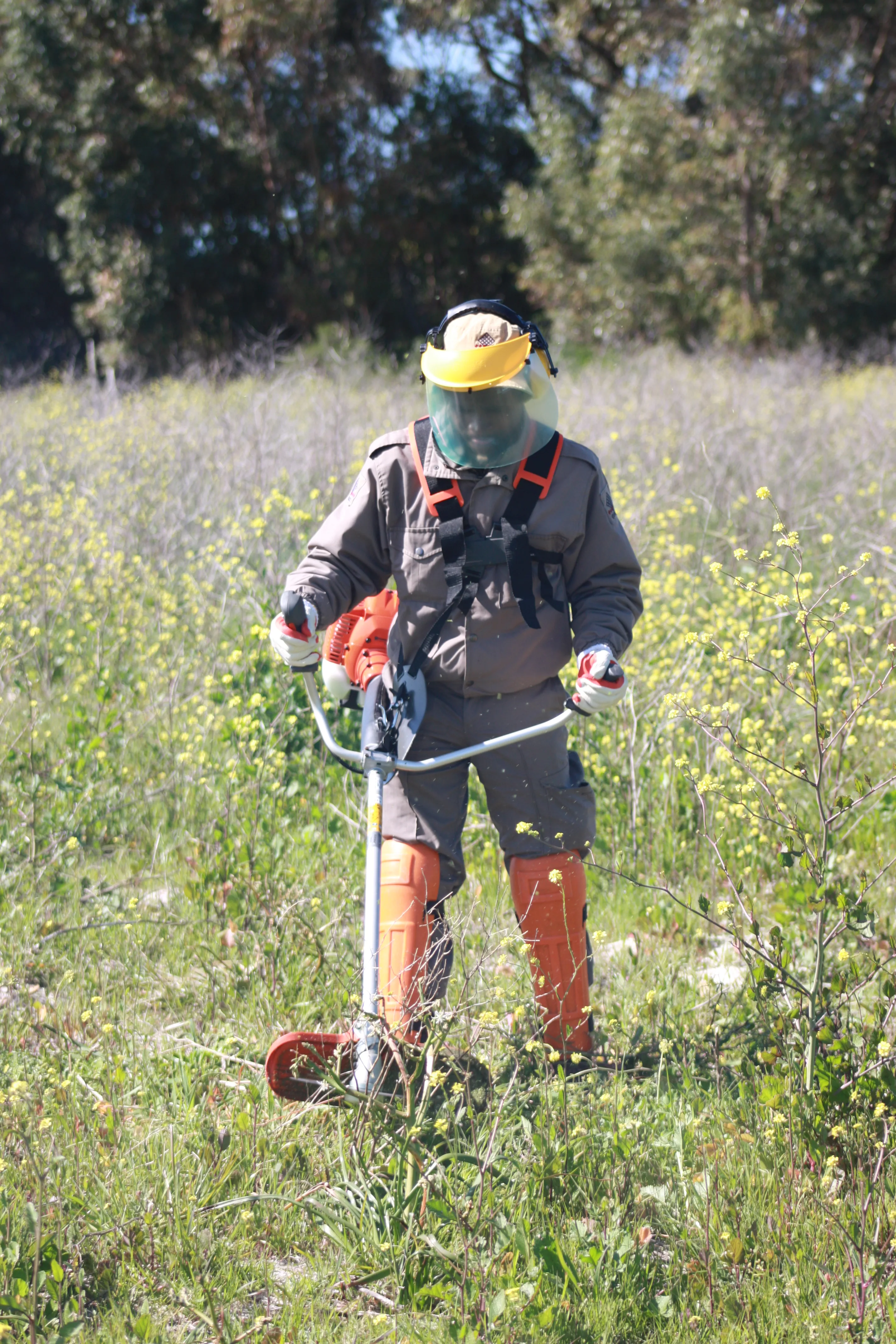 Nature Connect is now training Brush Cutter Operators., photo 5