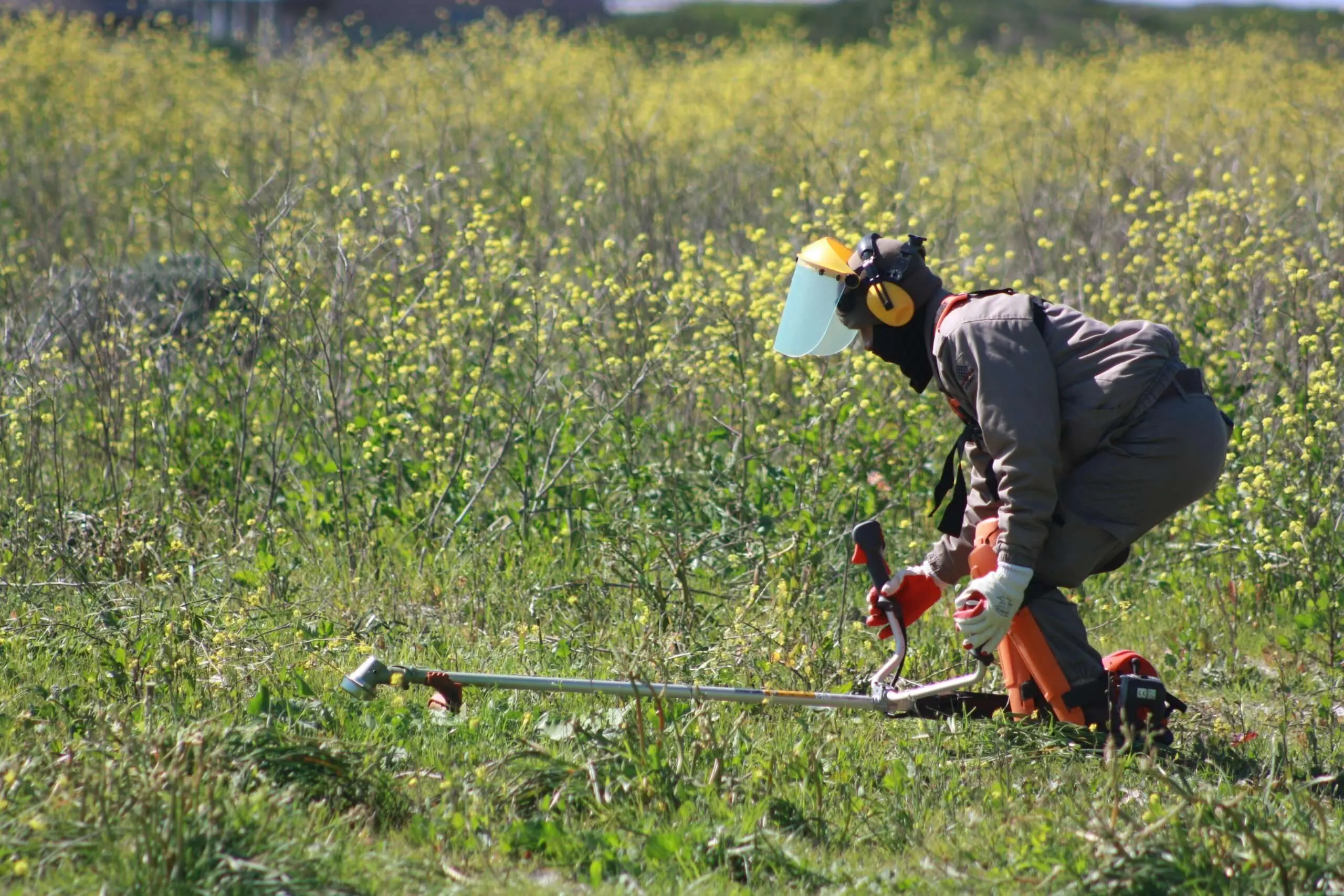Nature Connect is now training Brush Cutter Operators.