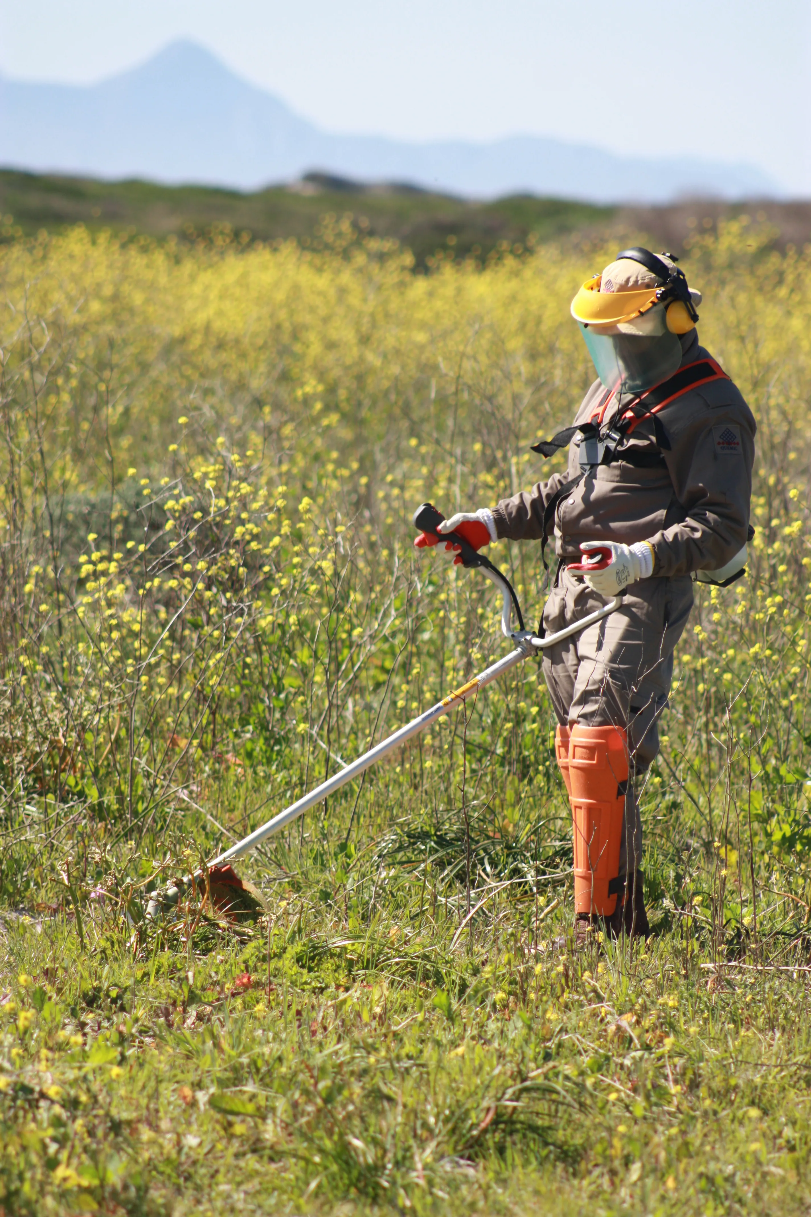 Nature Connect is now training Brush Cutter Operators., photo 12
