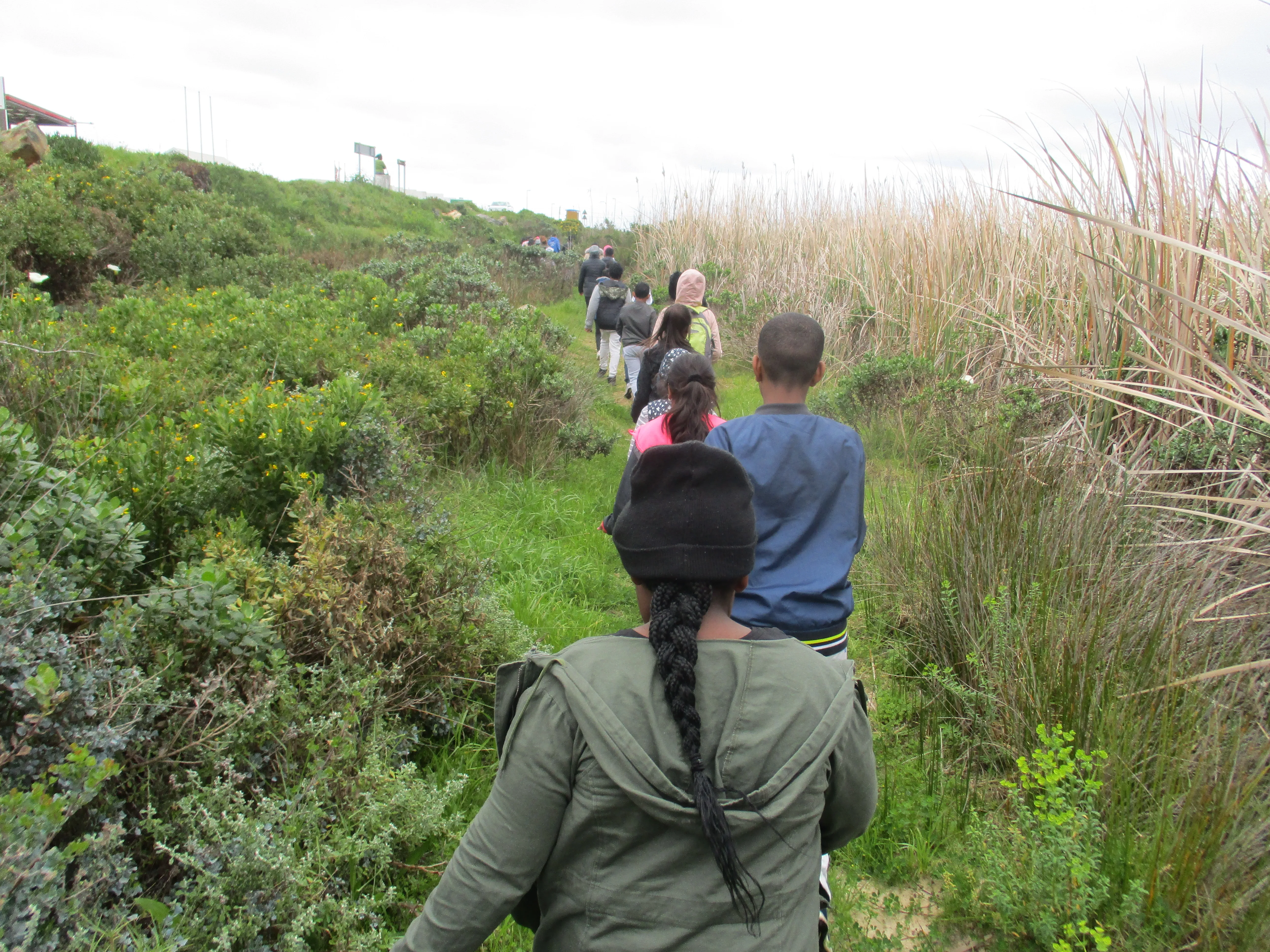 Literacy Through Nature, photo 1