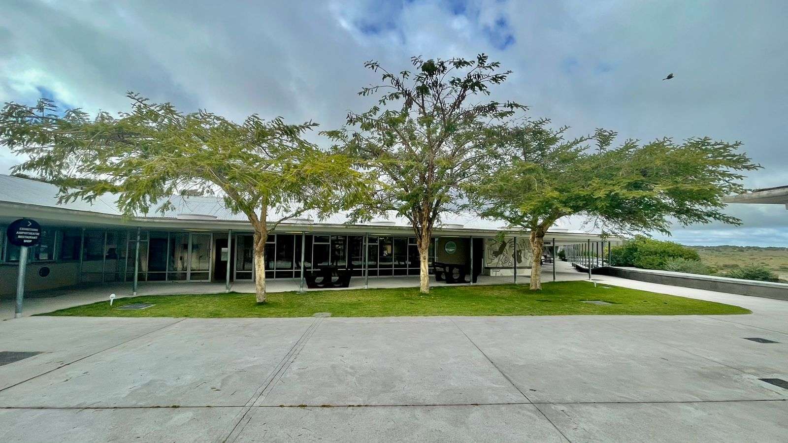 Nature Connect at MEDECOS, photo 2