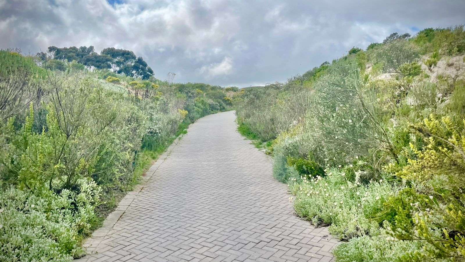 Nature Connect at MEDECOS, photo 1