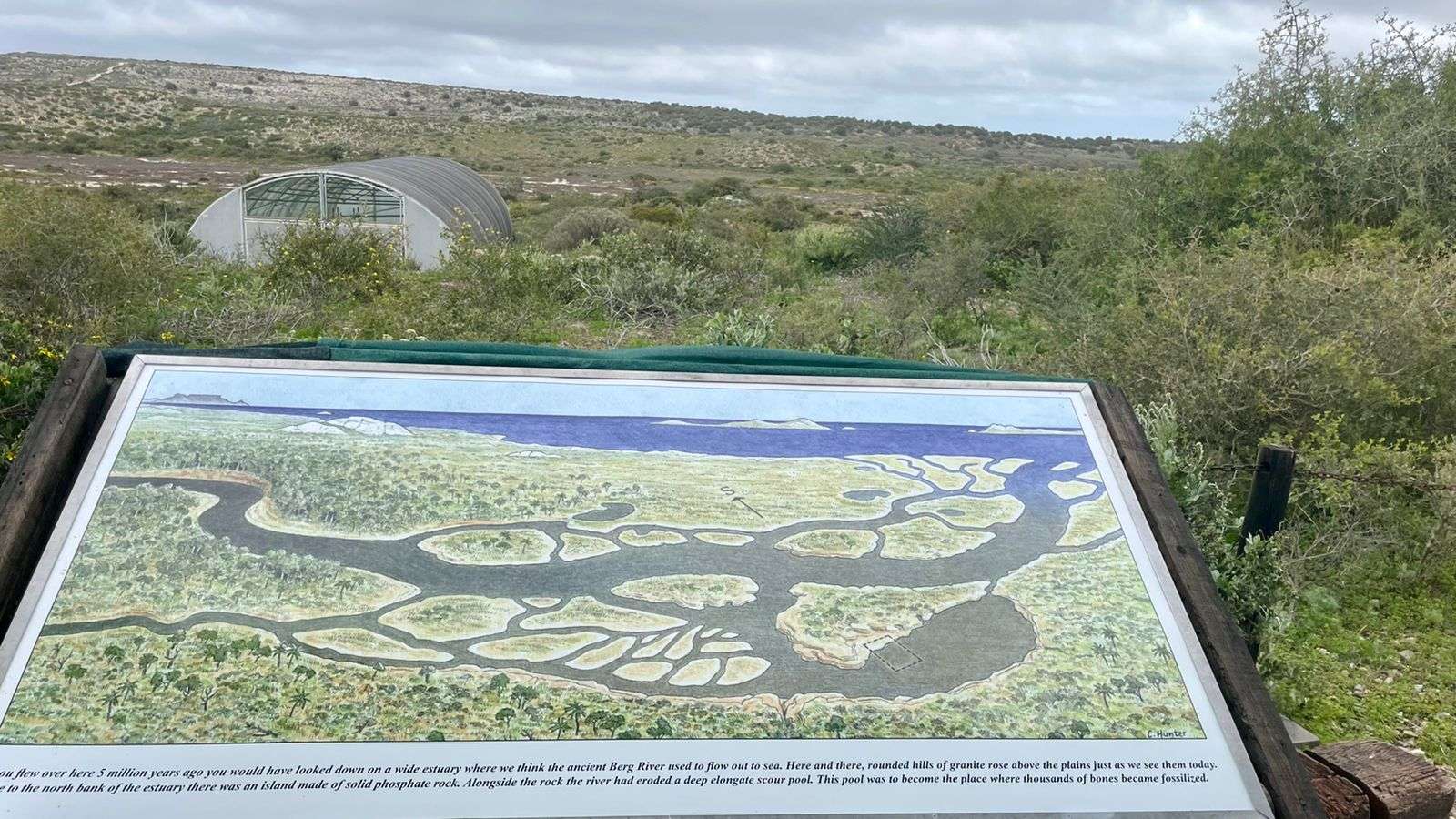 Nature Connect at MEDECOS, photo 9