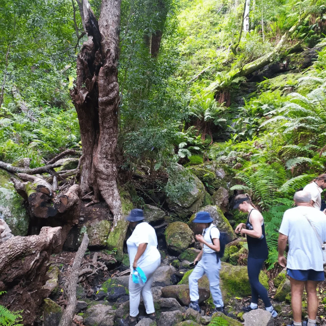 Stewards of Nature, photo 2