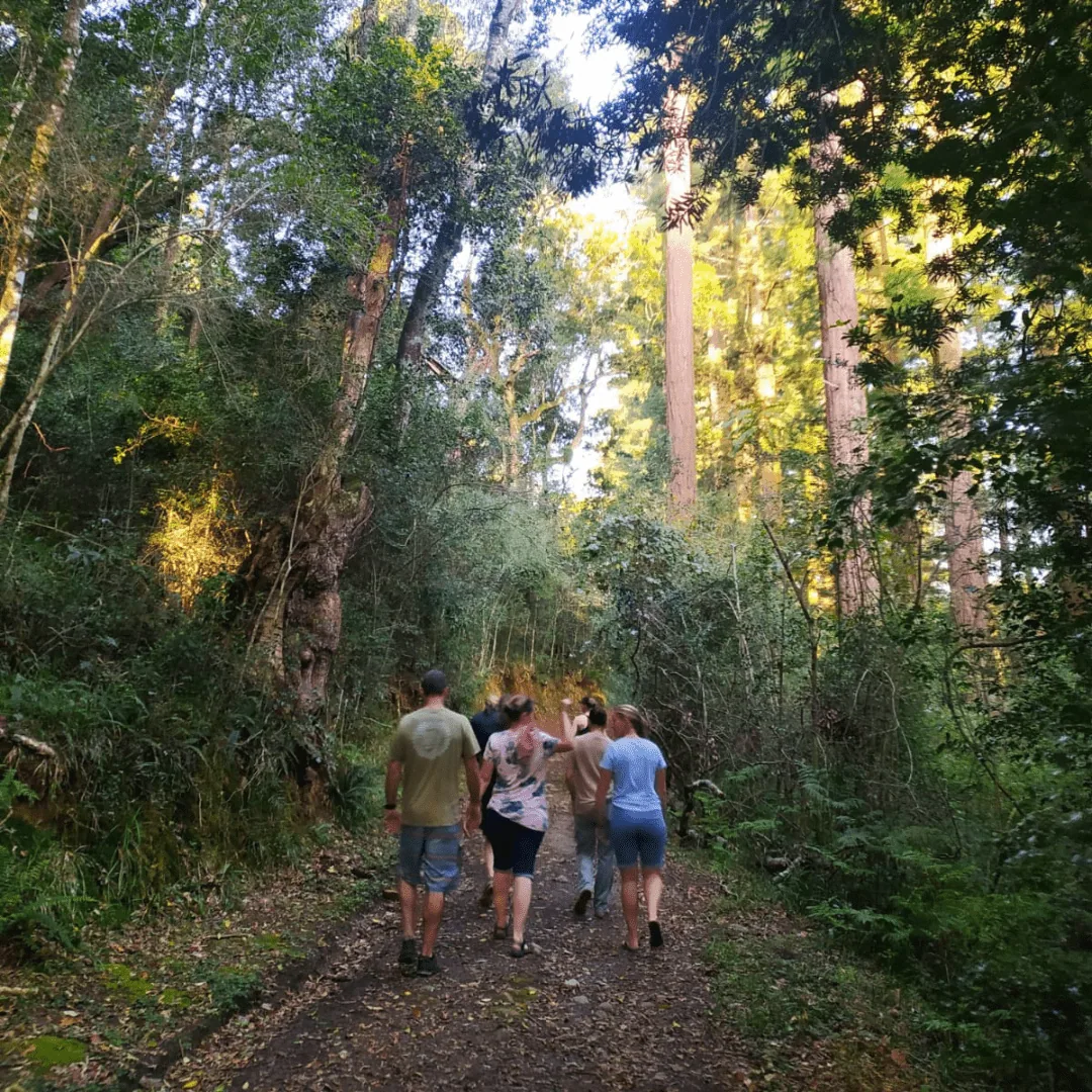 Stewards of Nature, photo 4