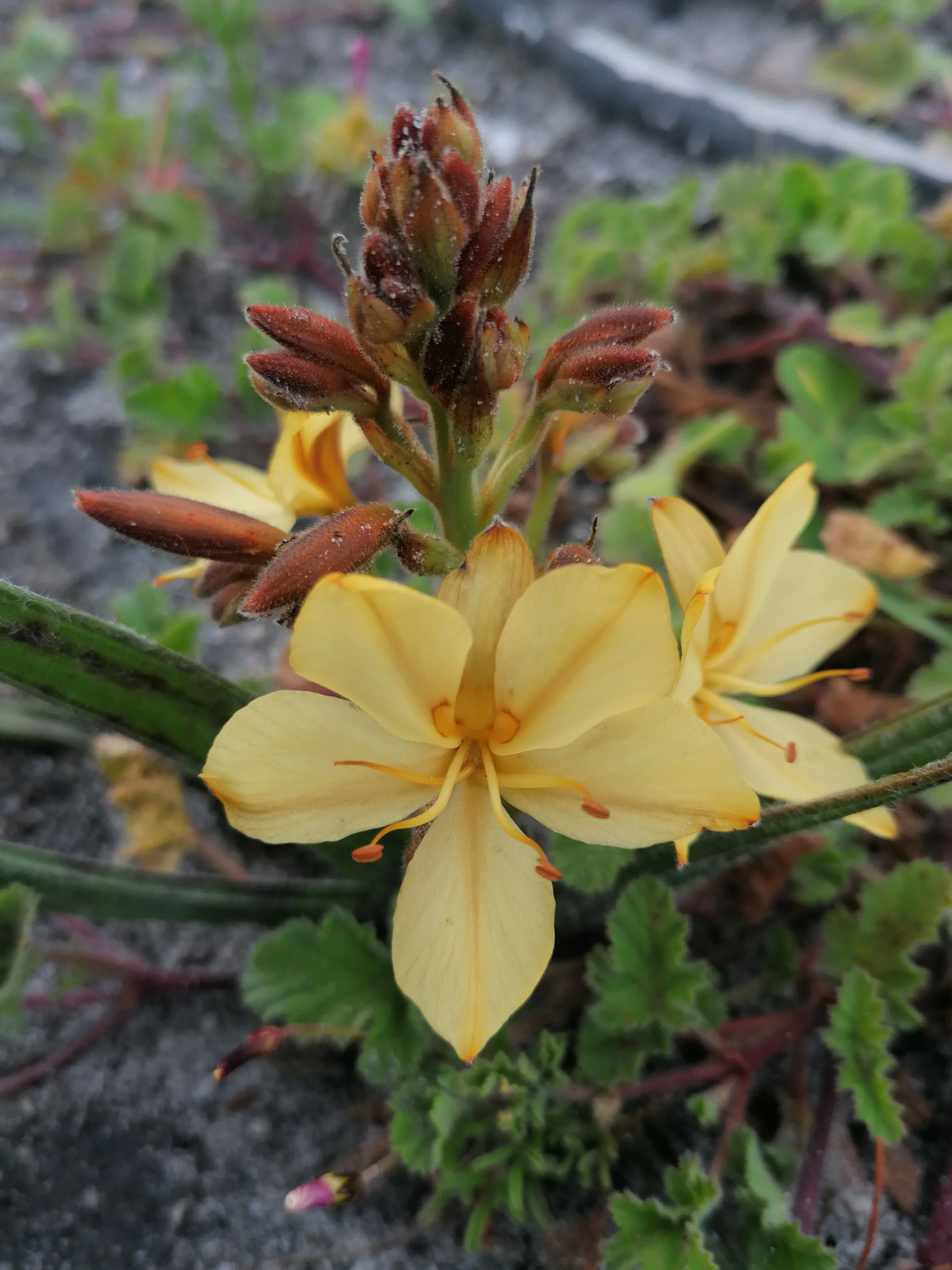 Connecting with Nature for Mental Health, photo 8
