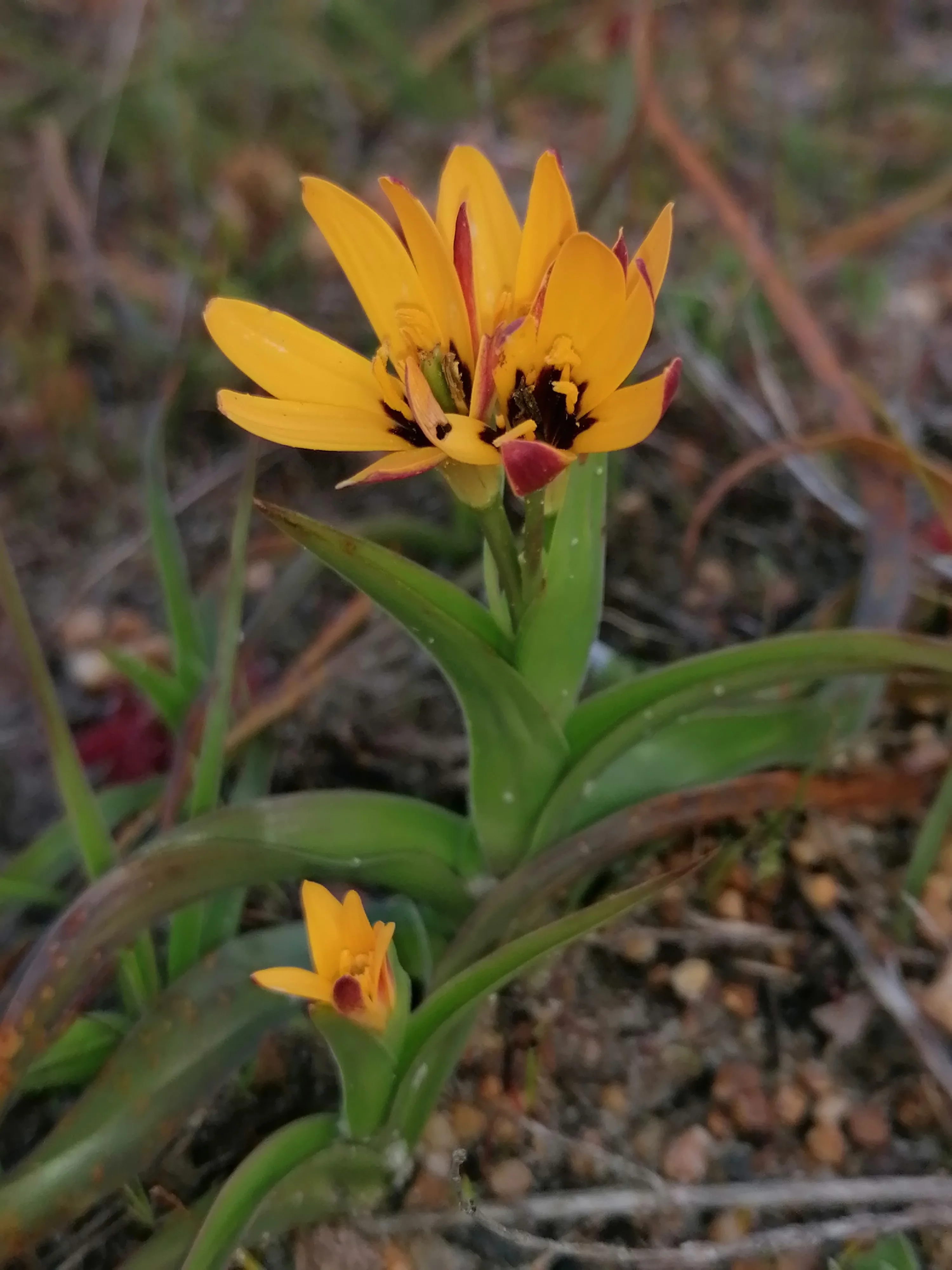 Connecting with Nature for Mental Health, photo 9