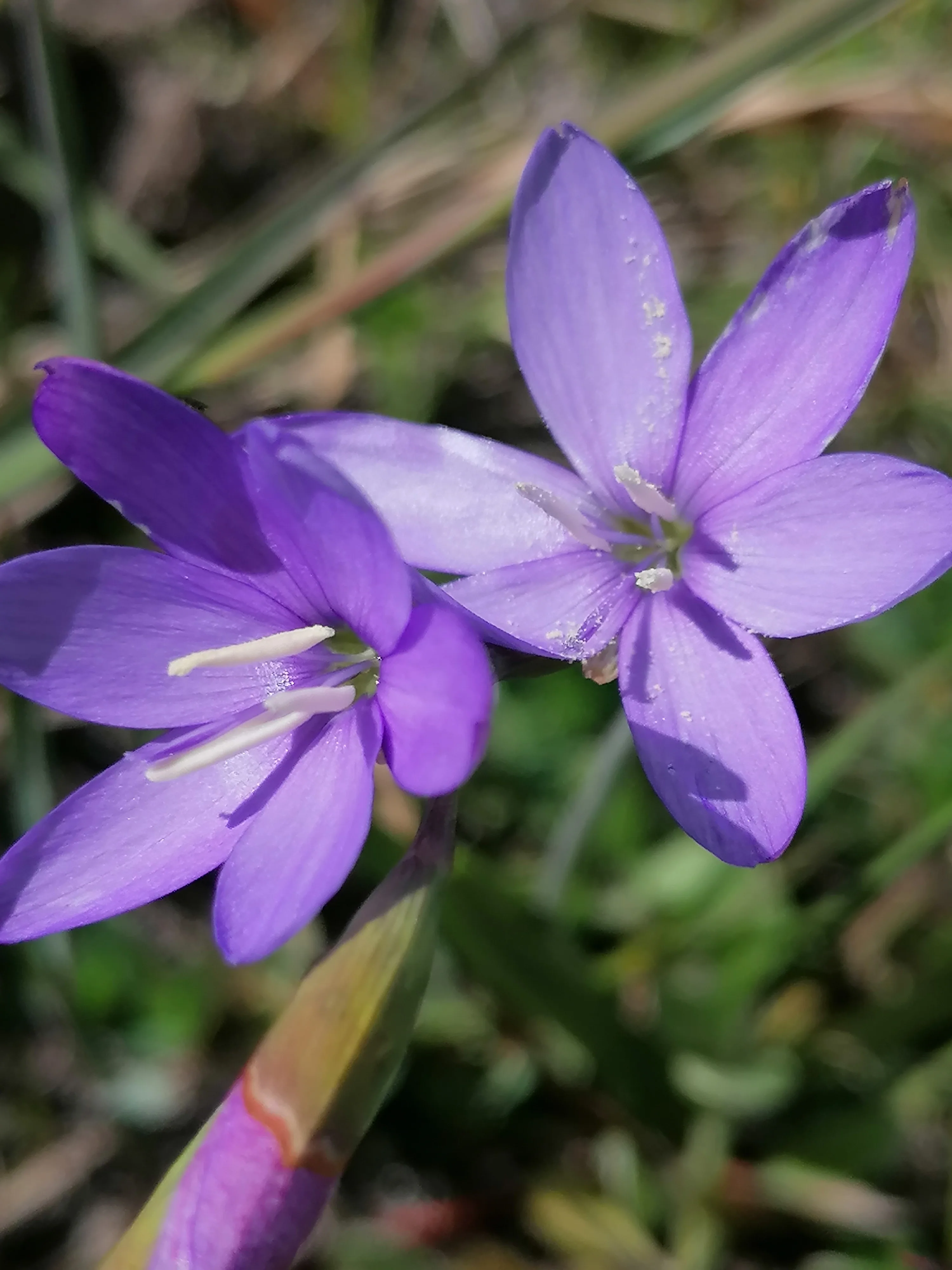 Connecting with Nature for Mental Health, photo 10