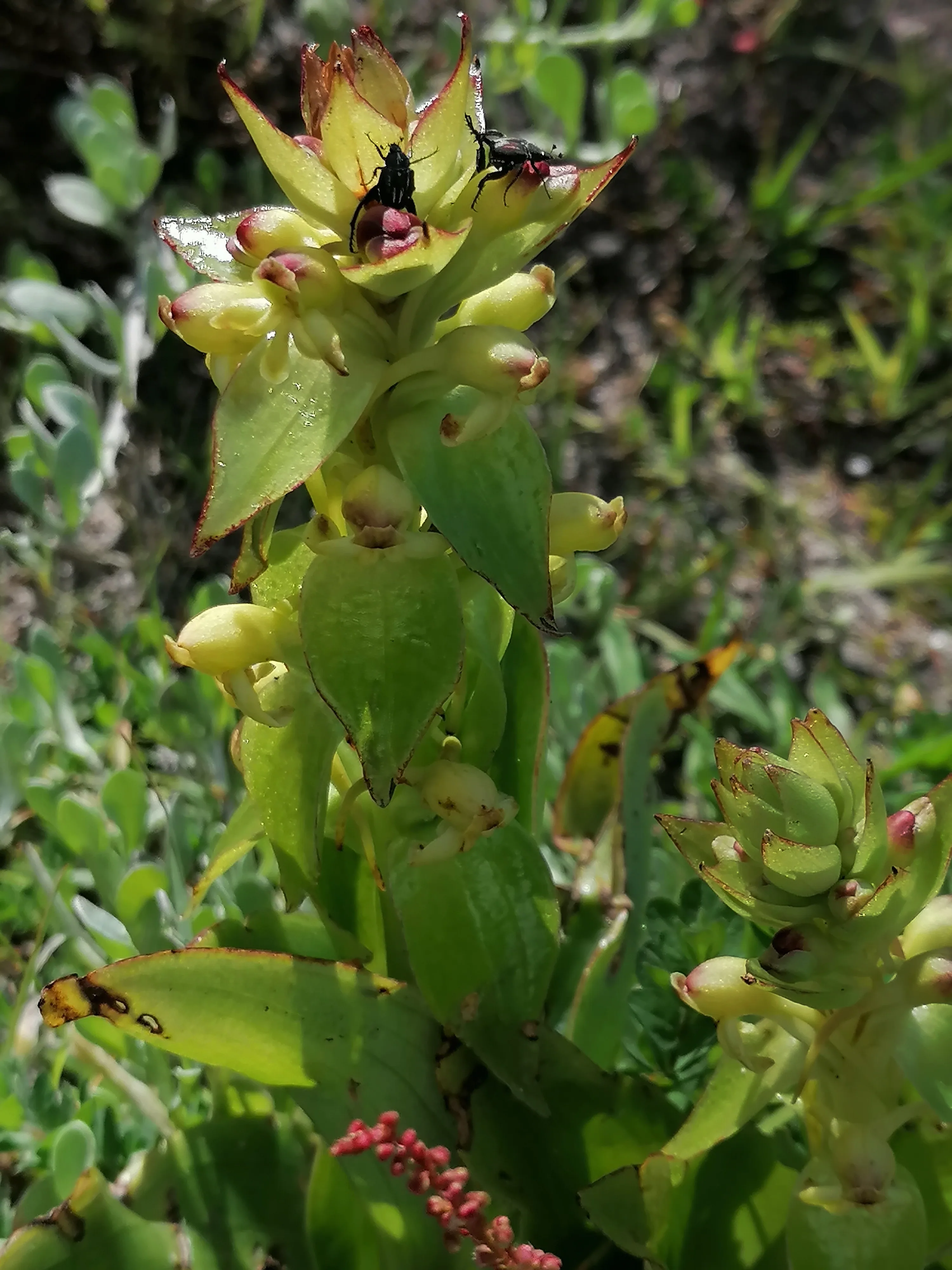 Connecting with Nature for Mental Health, photo 11