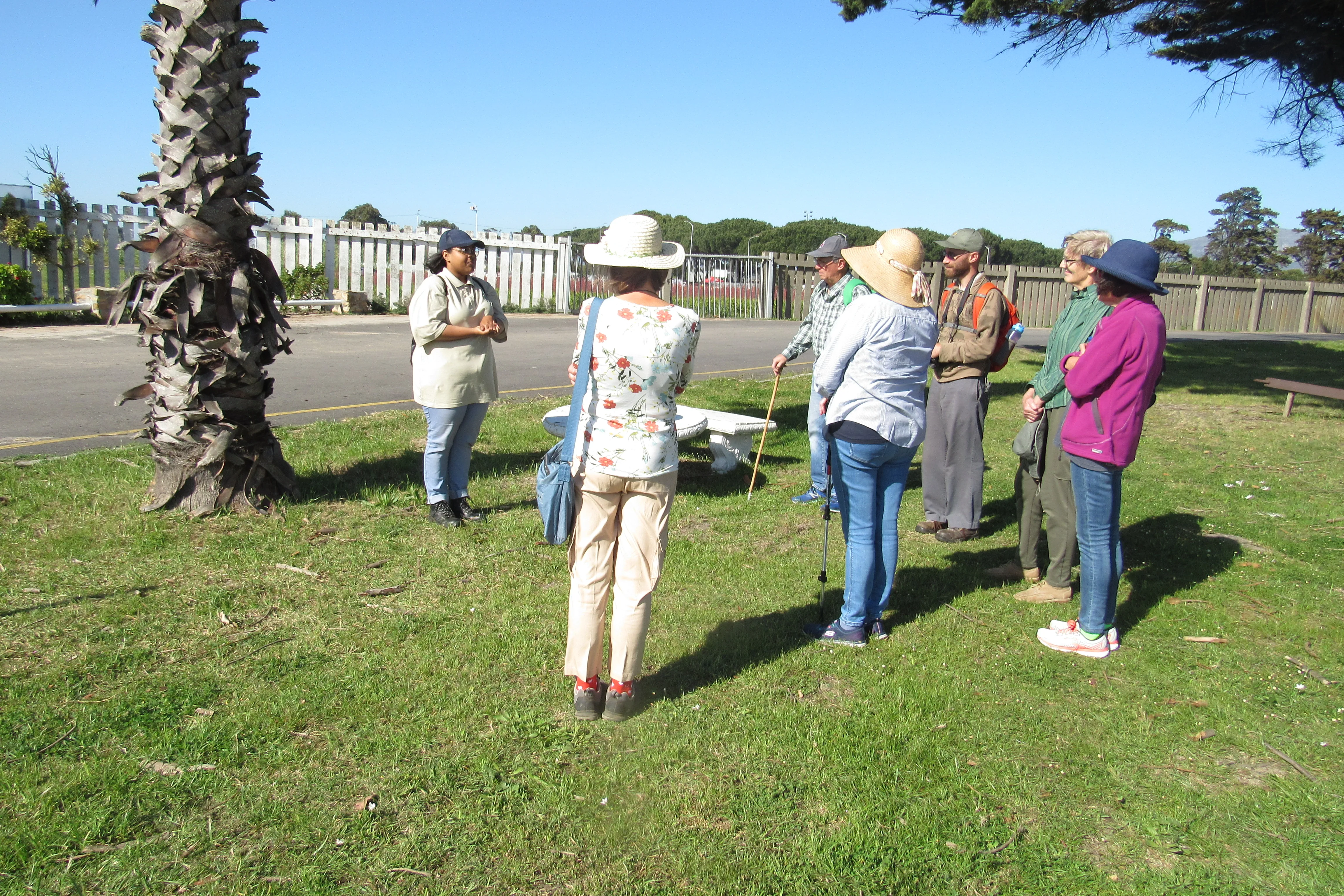 Connecting with Nature for Mental Health, photo 24