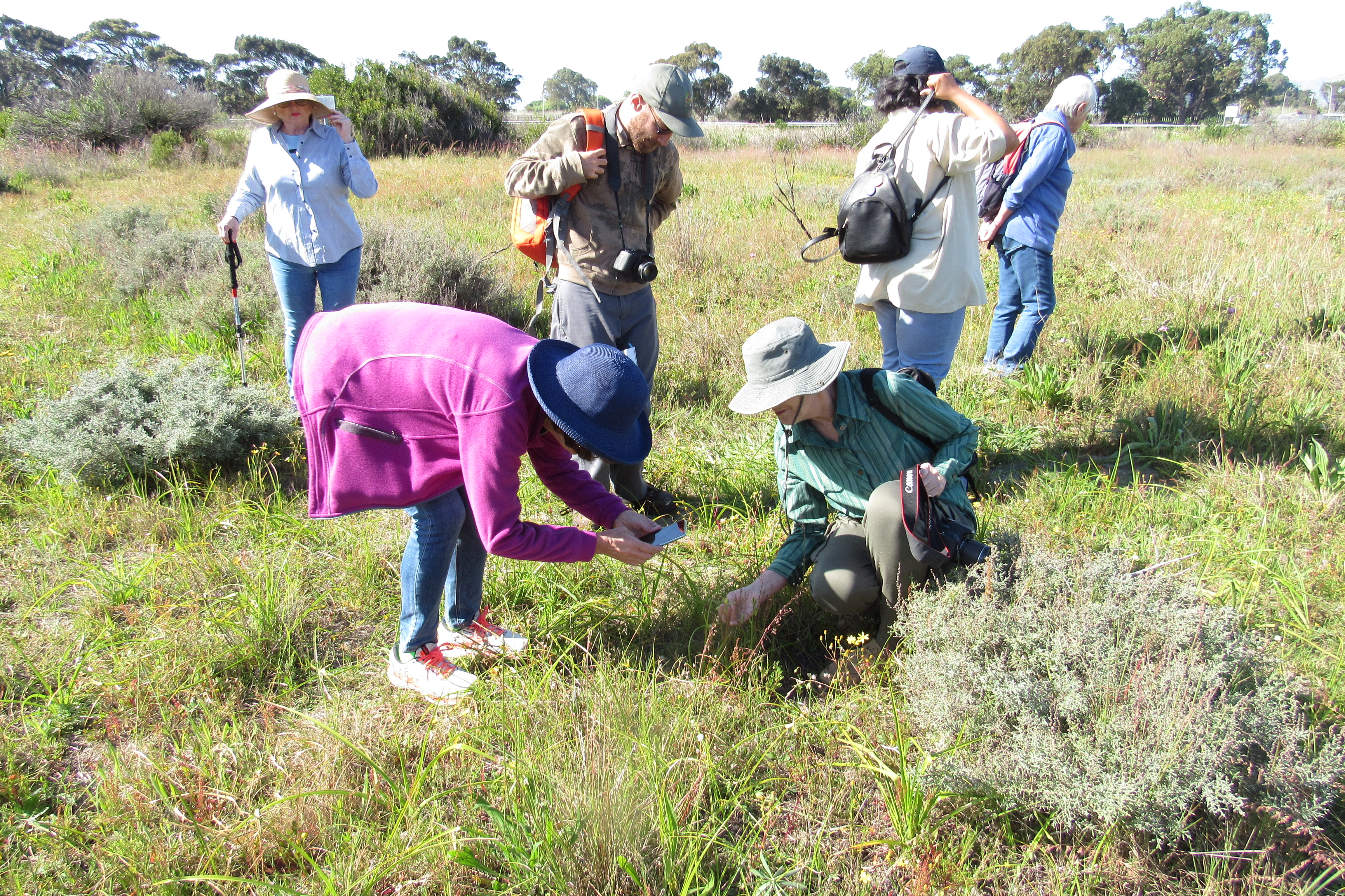 Connecting with Nature for Mental Health, photo 25