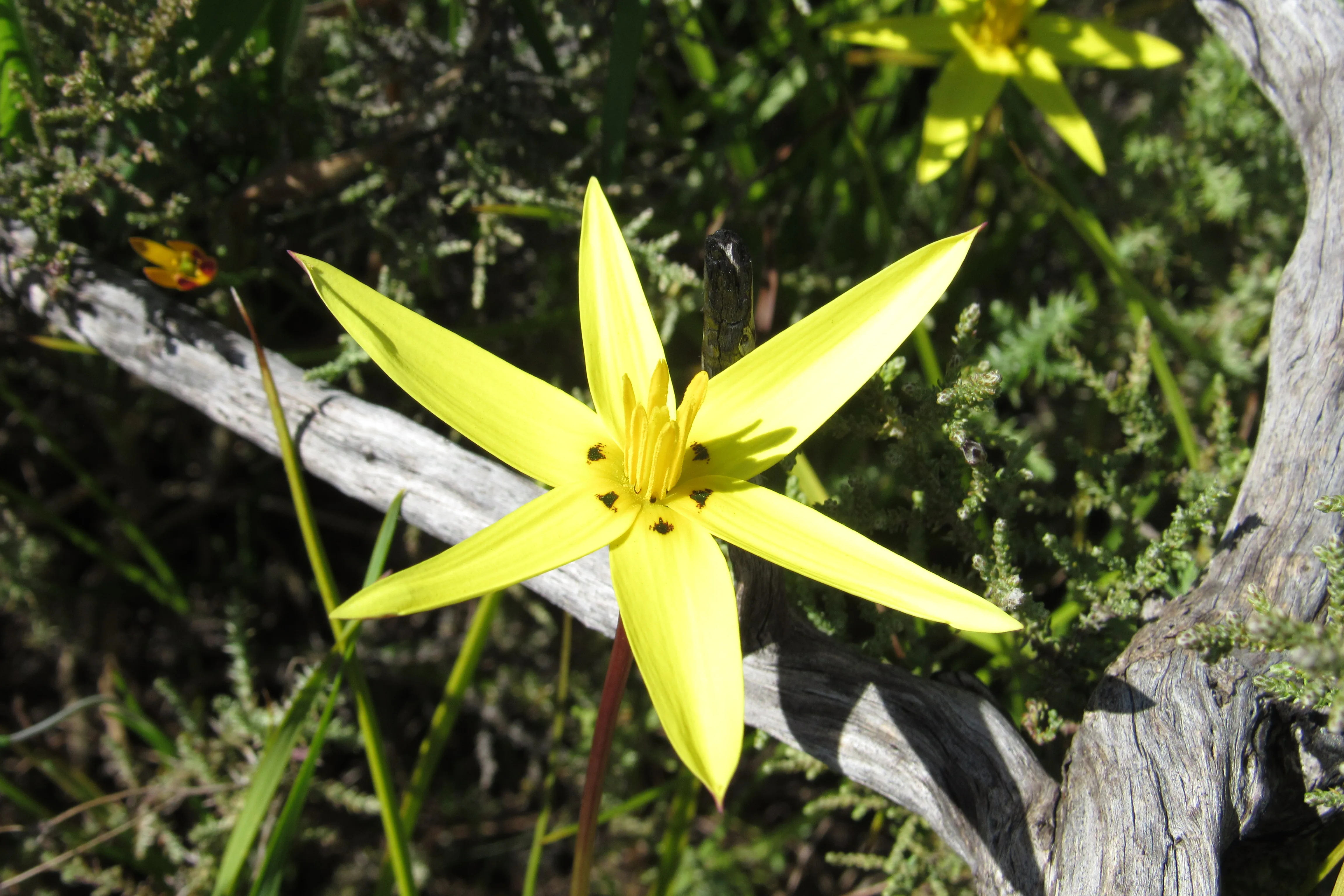 Connecting with Nature for Mental Health, photo 26