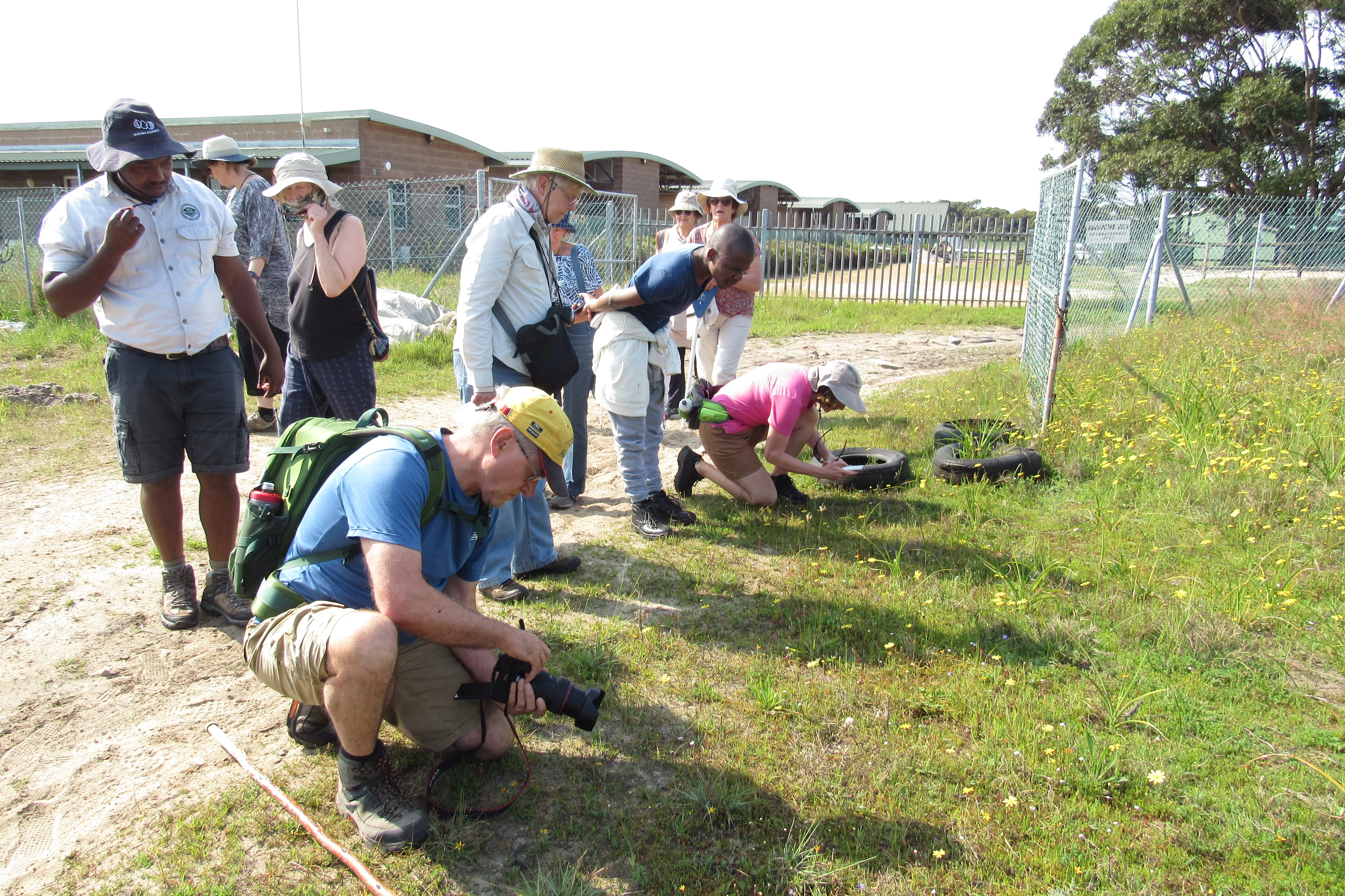 Connecting with Nature for Mental Health, photo 1