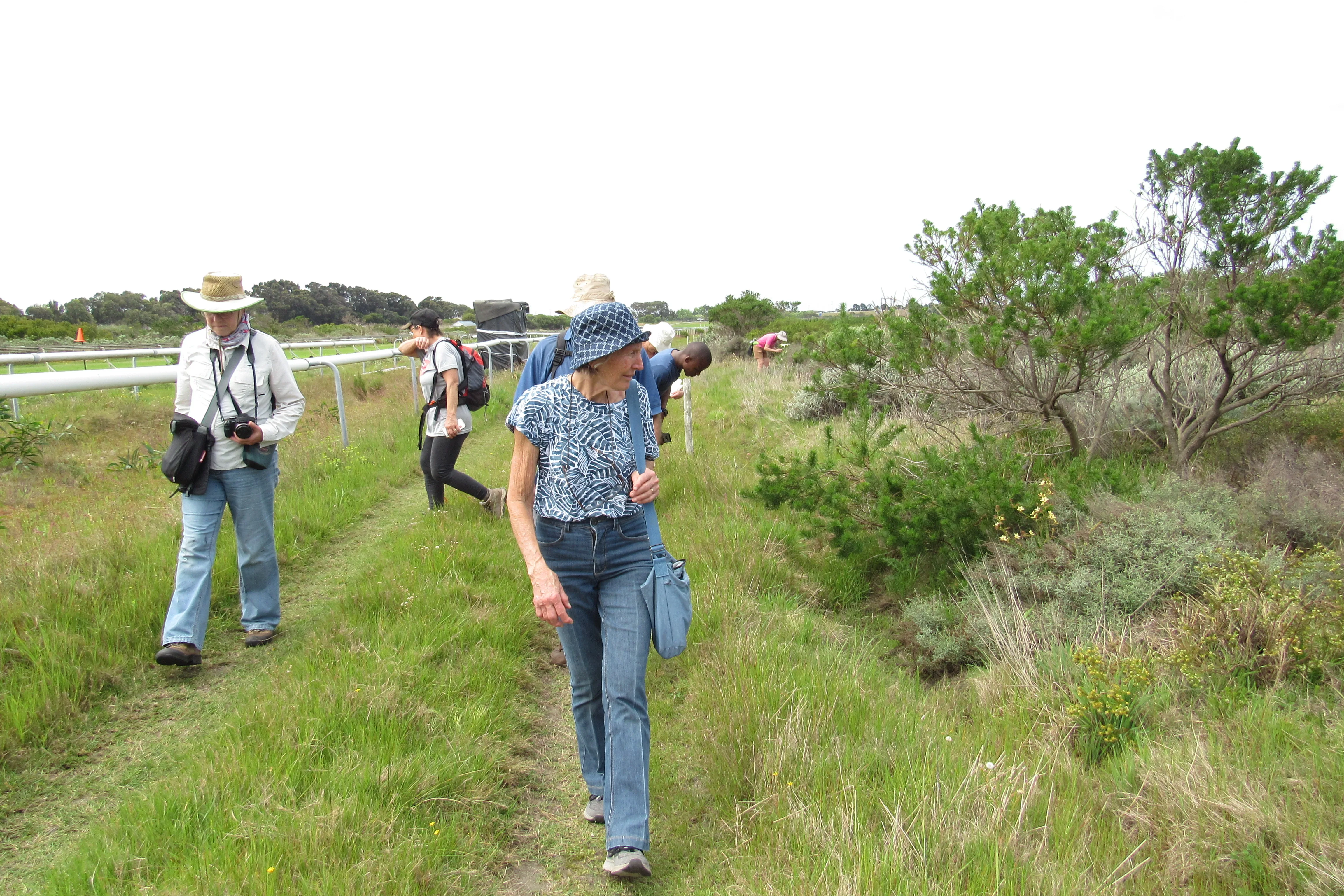 Connecting with Nature for Mental Health, photo 4