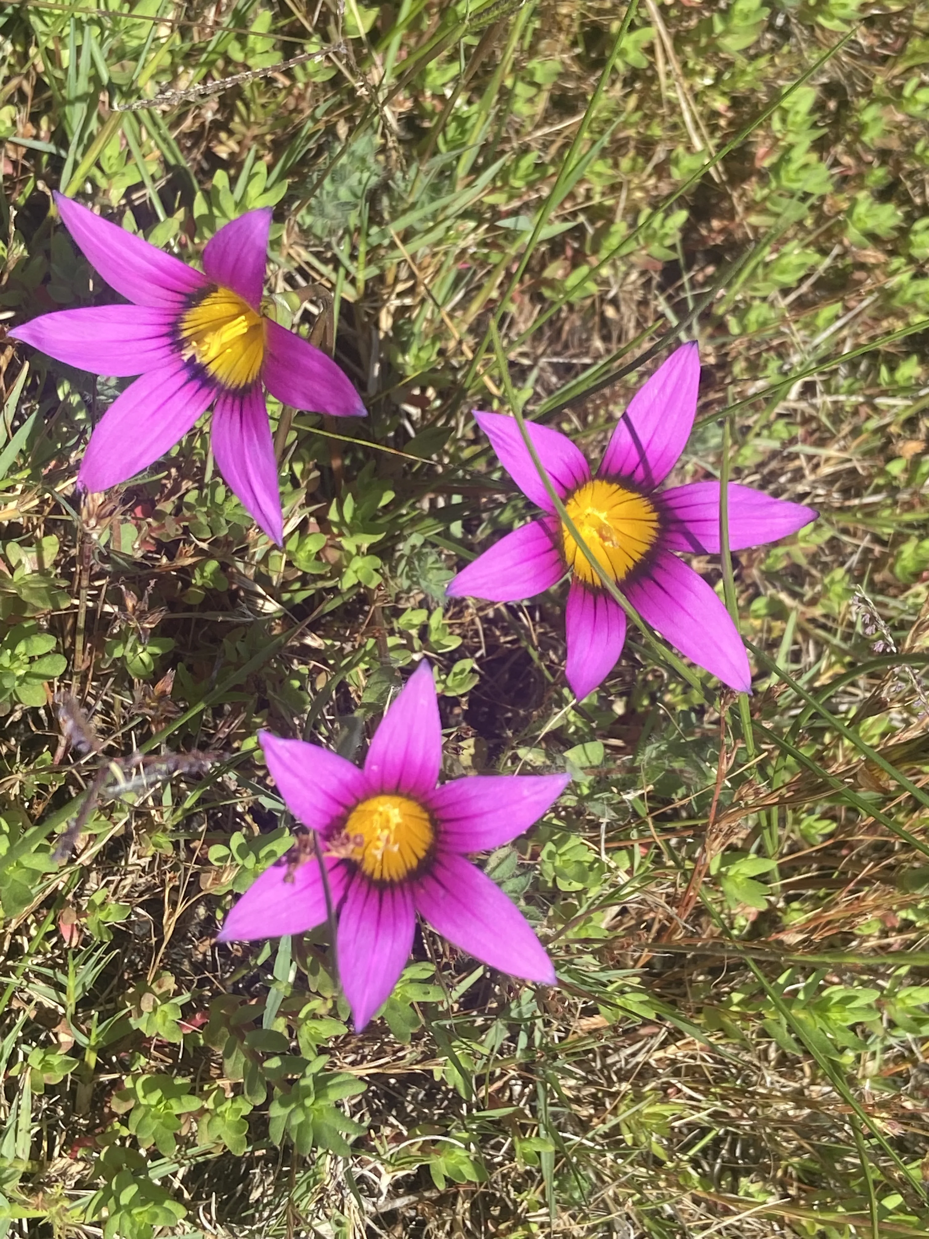 Connecting with Nature for Mental Health, photo 20