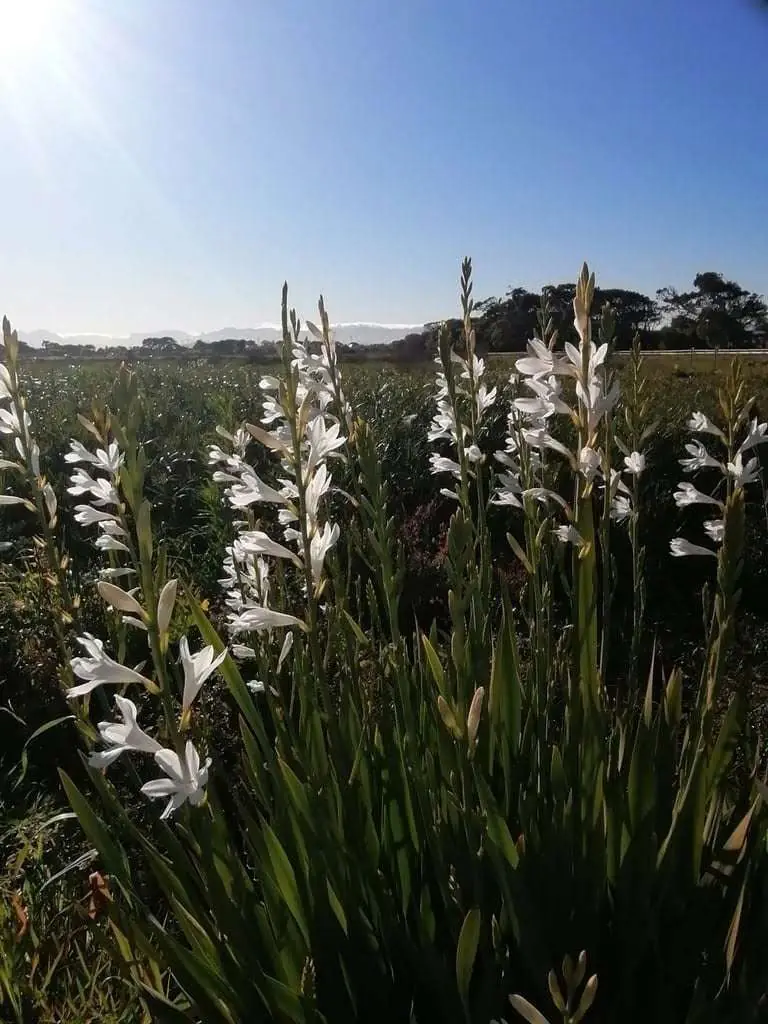 Connecting with Nature for Mental Health, photo 16