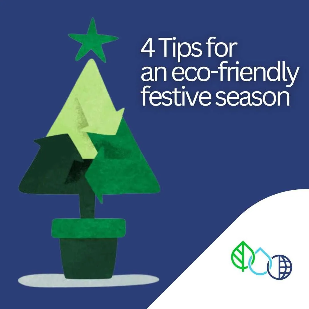 A Greener and Cleaner Festive Season!