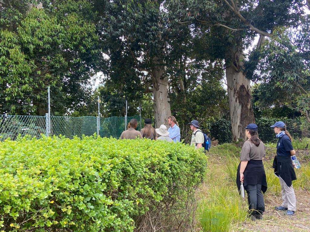 Urban conservation – An Update from Kenilworth Race Course Conservation Area, photo 12