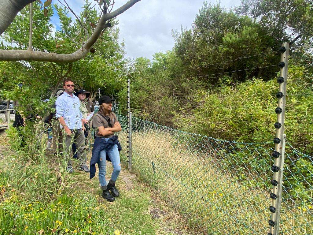 Urban conservation – An Update from Kenilworth Race Course Conservation Area, photo 13