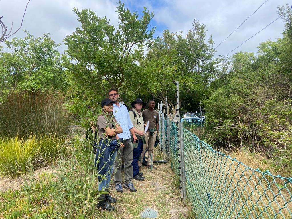 Urban conservation – An Update from Kenilworth Race Course Conservation Area, photo 14