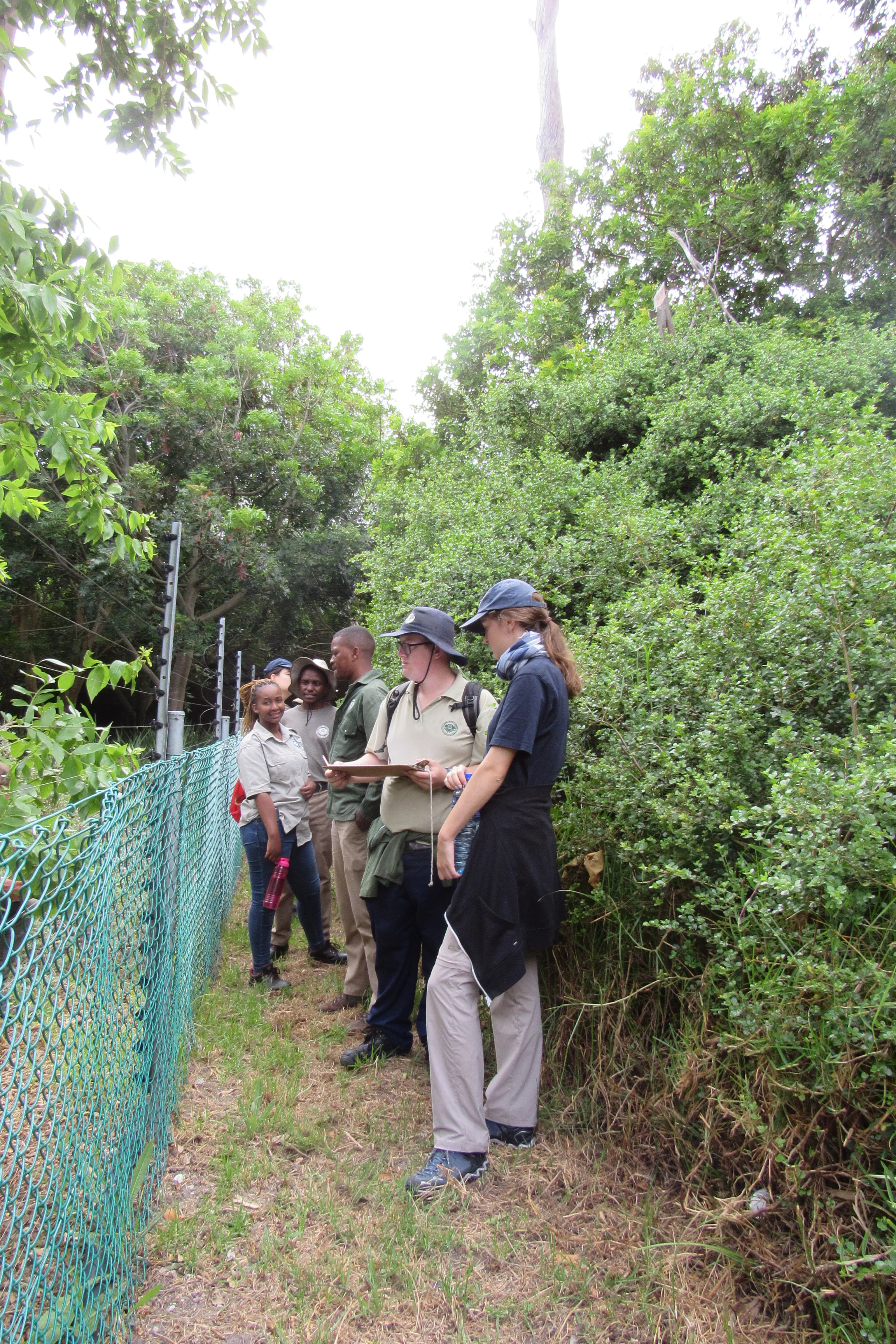 Urban conservation – An Update from Kenilworth Race Course Conservation Area, photo 6