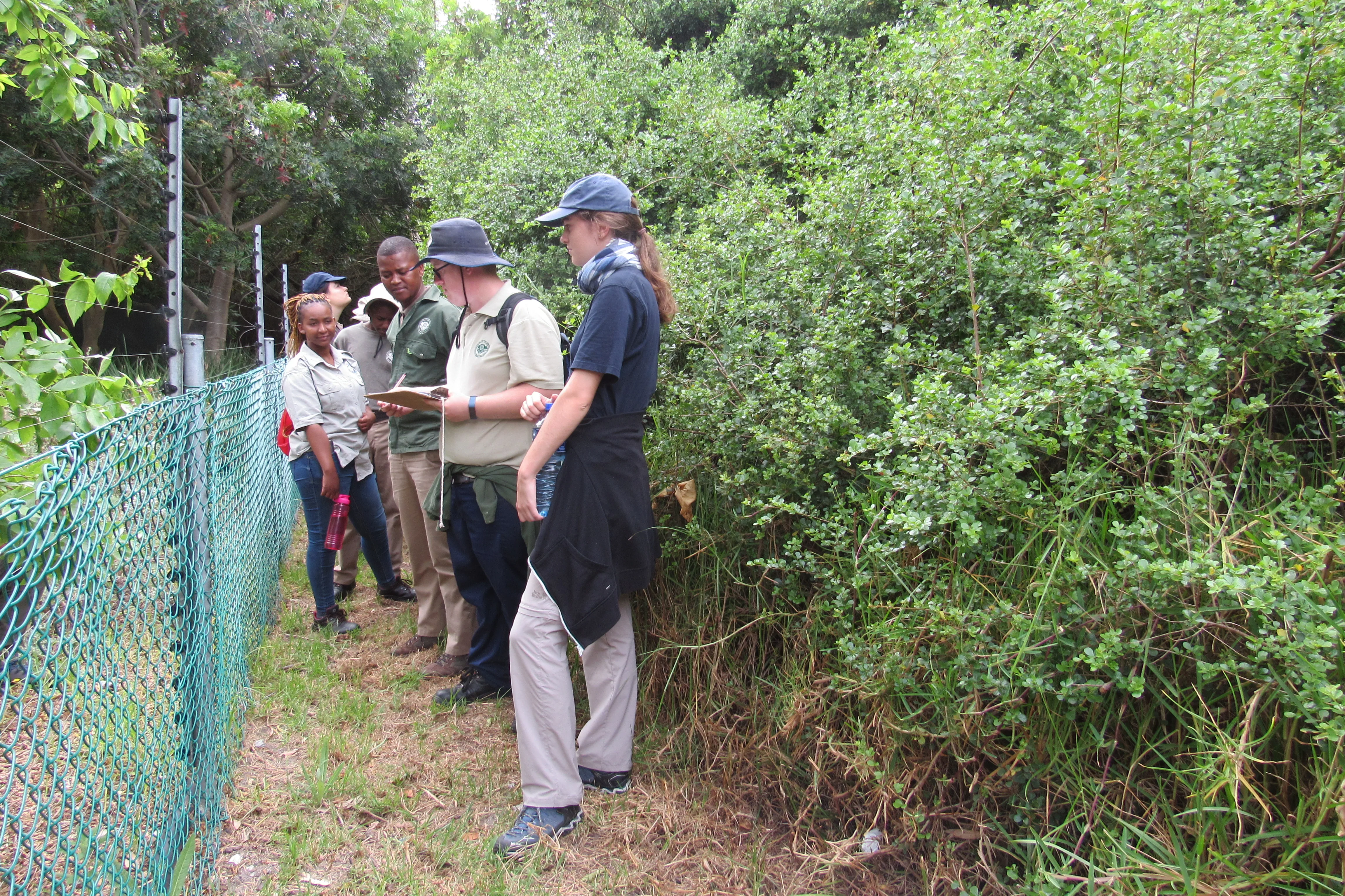 Urban conservation – An Update from Kenilworth Race Course Conservation Area, photo 7