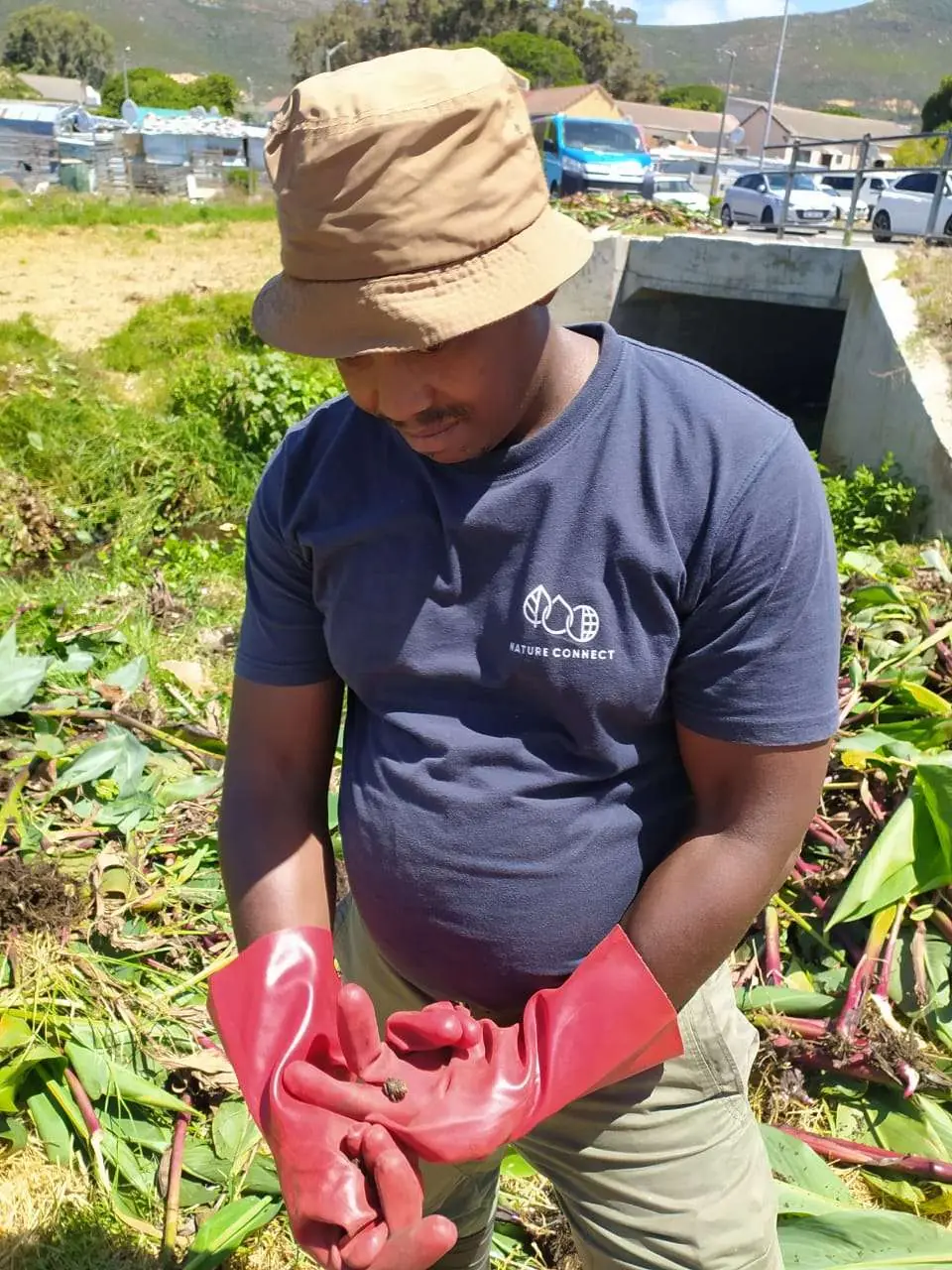 Nature Connect Celebrates World Wetlands Day with “From Wasteland to Westlake Wetlands” Event in Cape Town, photo 2