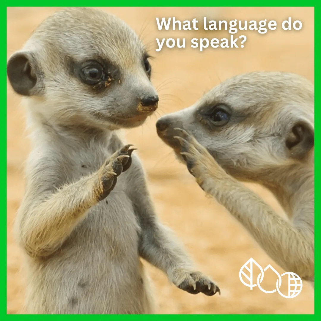 Understanding the Language of Nature: An Environmental Education Perspective