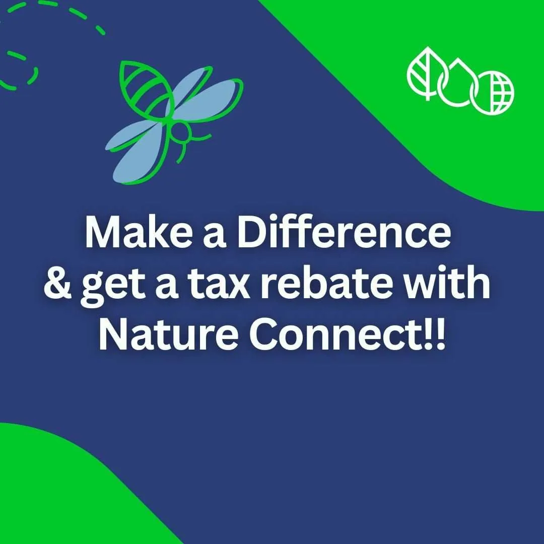 Make A Difference And Get A Tax Rebate With Nature Connect!