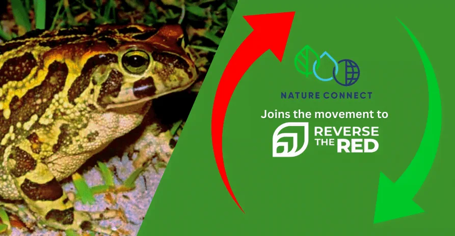 Nature Connect Joins IUCN’s Reverse The Red Movement